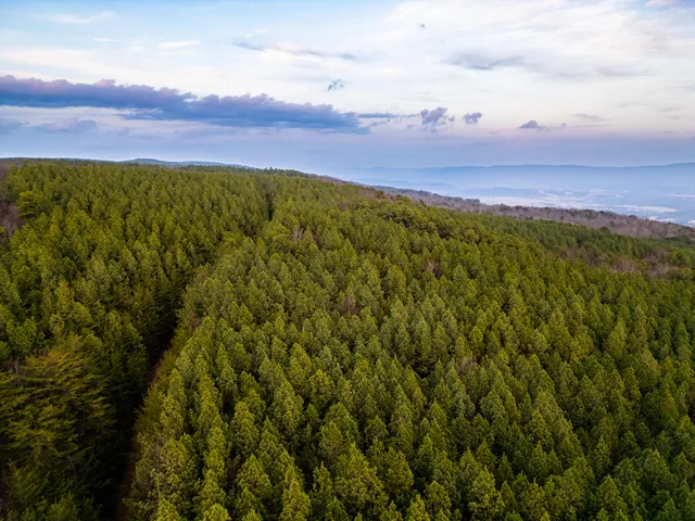 $969,900 | 29003.00 Smith Mountain Road, Dunlap, TN 37327