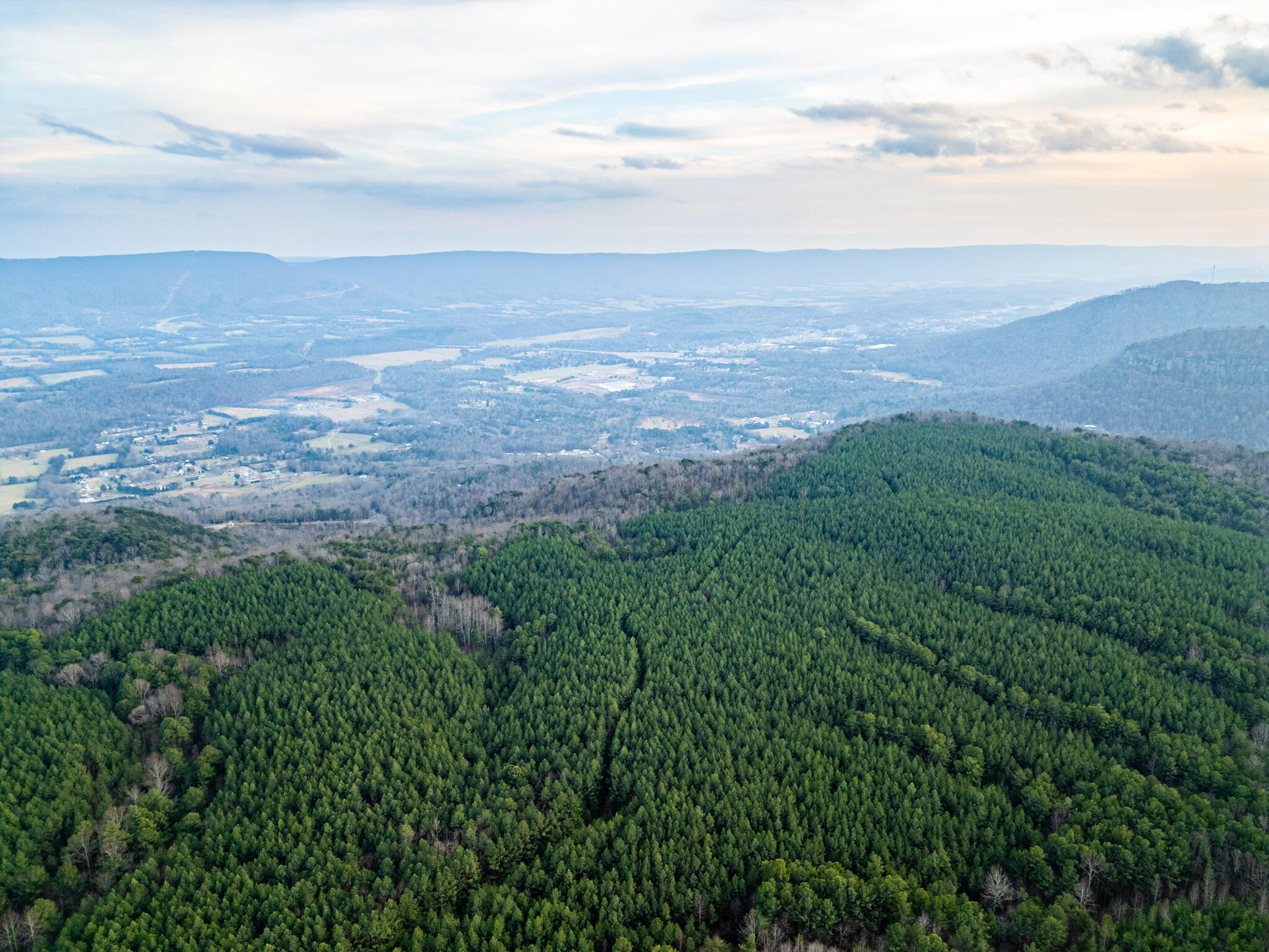 DJI_0764