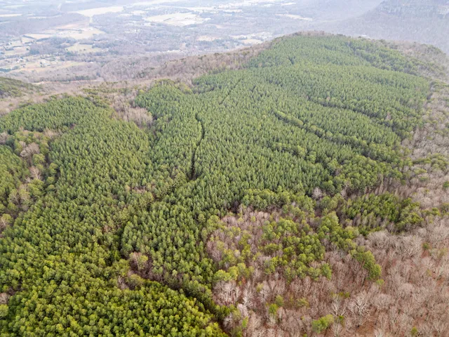 $969,900 | 29003.00 Smith Mountain Road, Dunlap, TN 37327