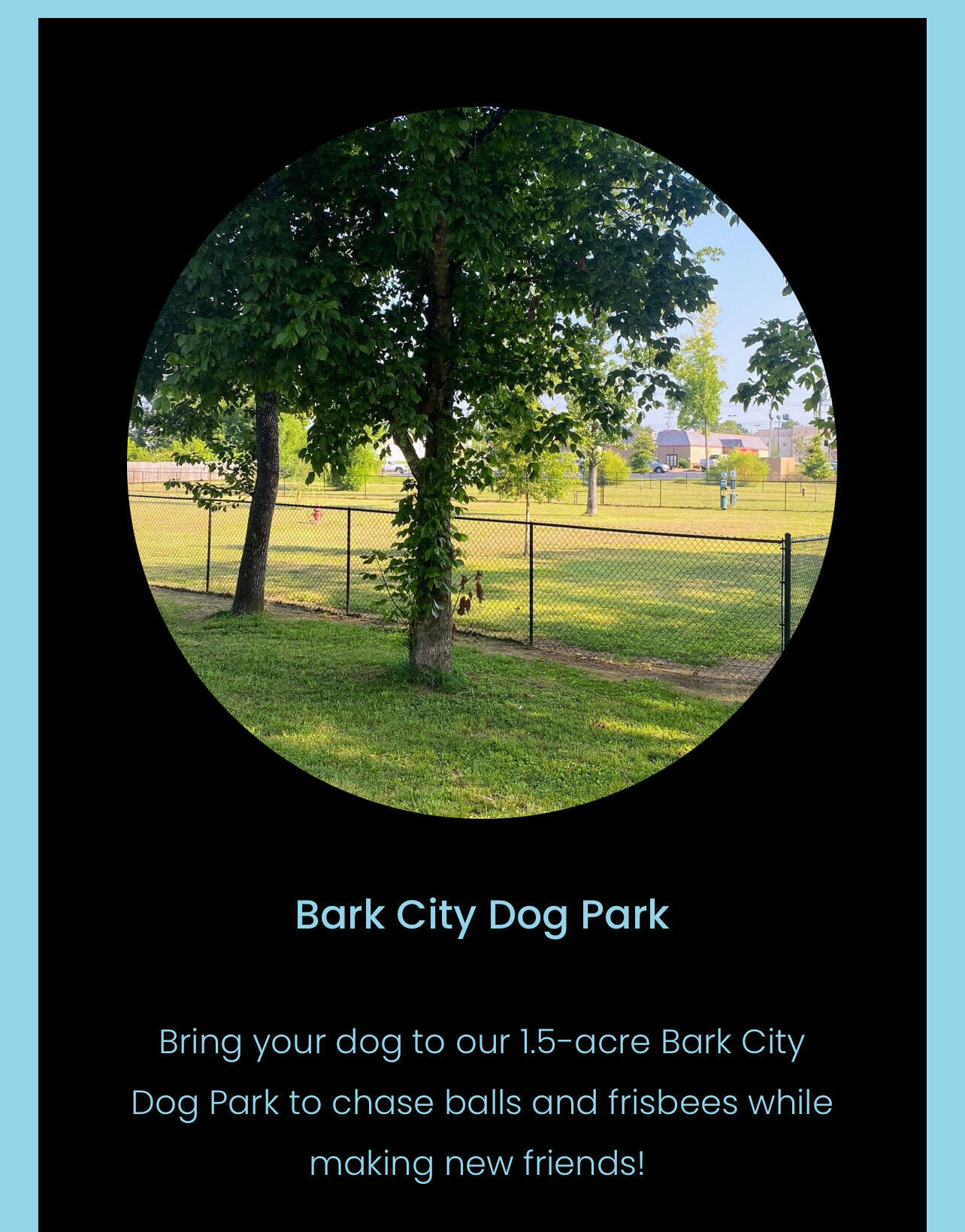 40 Stuart Road Fort Oglethorpe, GA 30742 - Photo 73 of 75 FT O DOG PARK