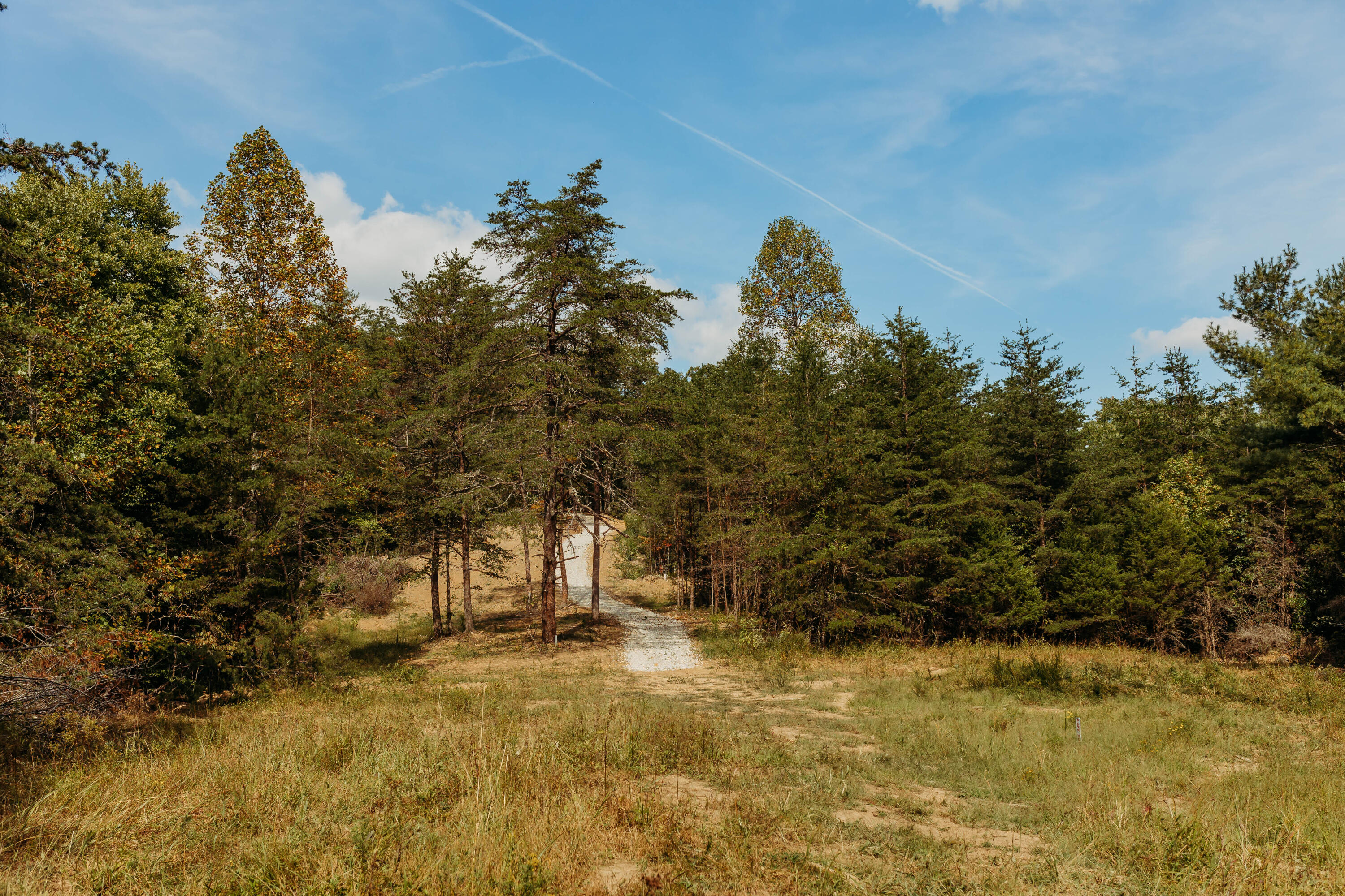Tbd Lot 20 Sandy Ridge Road Campton, KY 41301 - Photo 3 of 19 FO7A1029