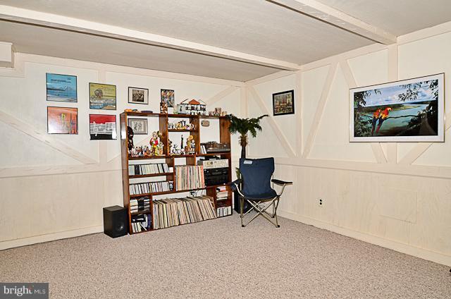 6947 Conservation Drive Springfield, VA 22153 - Photo 17 of 22 Basement