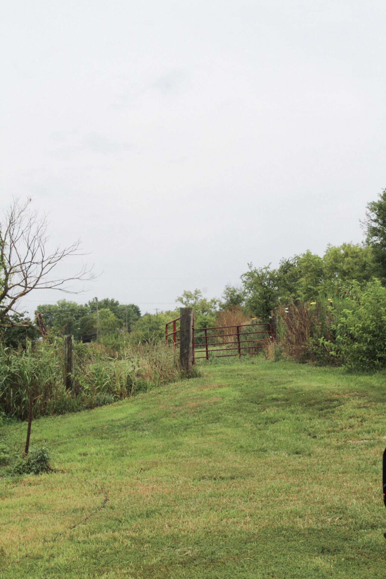 1250 Four Mile Road Richmond, KY 40475 - Photo 46 of 70 16-IMG_2723