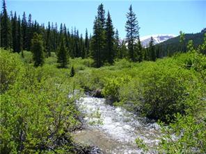 8353 Pcr 18 Road Fruita, CO 81521 - Photo 3 of 11 a view of a lush green forest with trees in the background