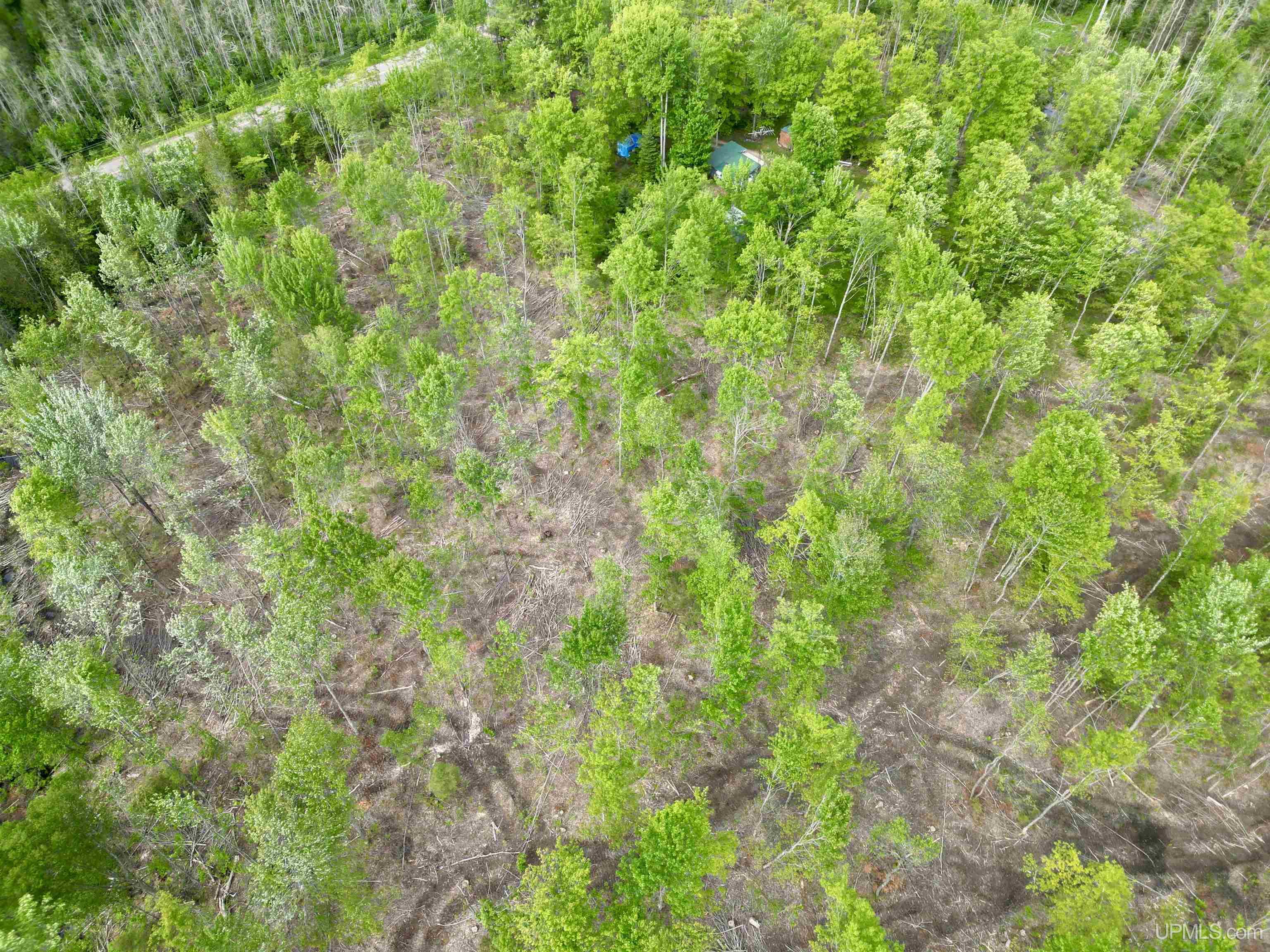 3601 Cr444 Road Rock, MI 49880 - Photo 65 of 78