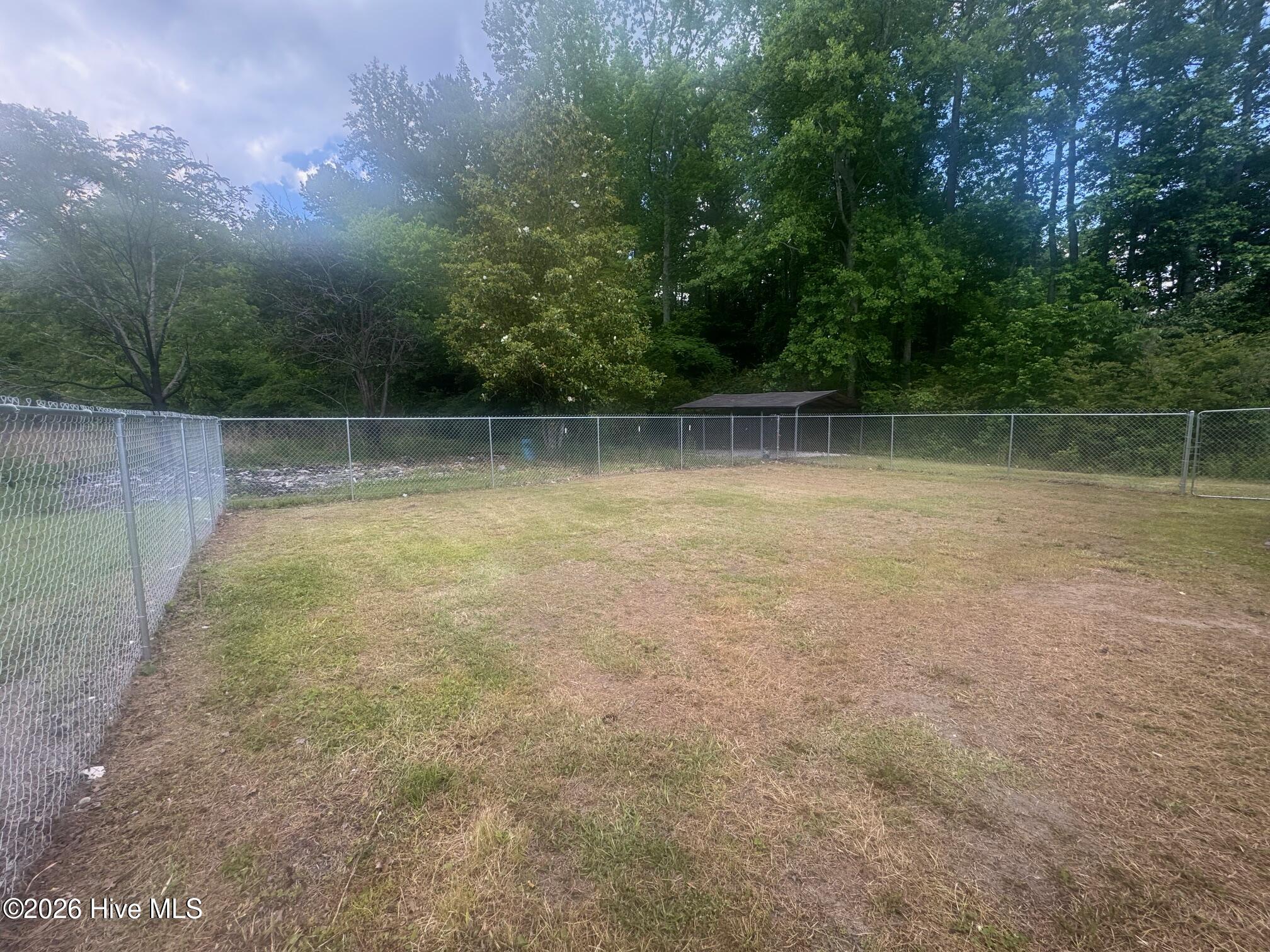 1461 Core Point Road Blounts Creek, NC 27814 - Photo 29 of 37 Back yard photo 1