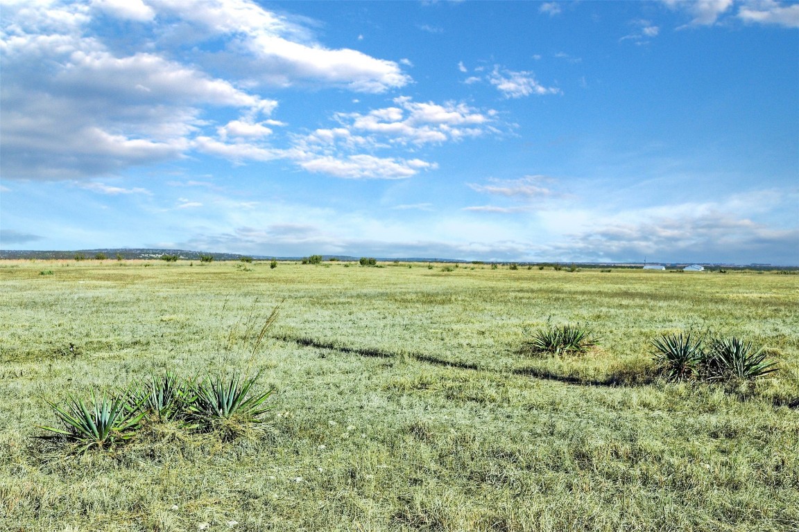 9902 County Road 2001 Lometa, TX 76853 - Photo 4 of 12