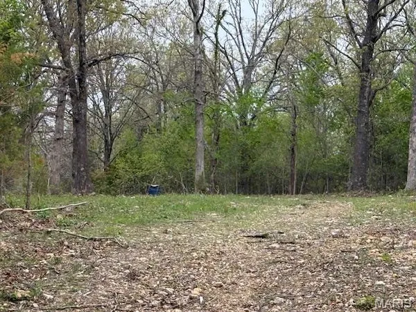 $39,000 | 607 Katie Lane, Dixon, MO 65459