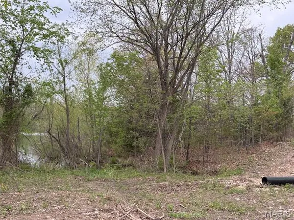 $39,000 | 607 Katie Lane, Dixon, MO 65459