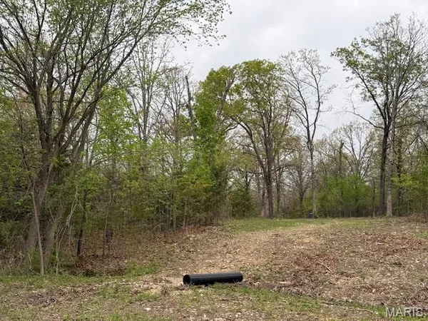 $39,000 | 607 Katie Lane, Dixon, MO 65459