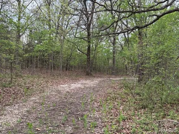 $39,000 | 607 Katie Lane, Dixon, MO 65459