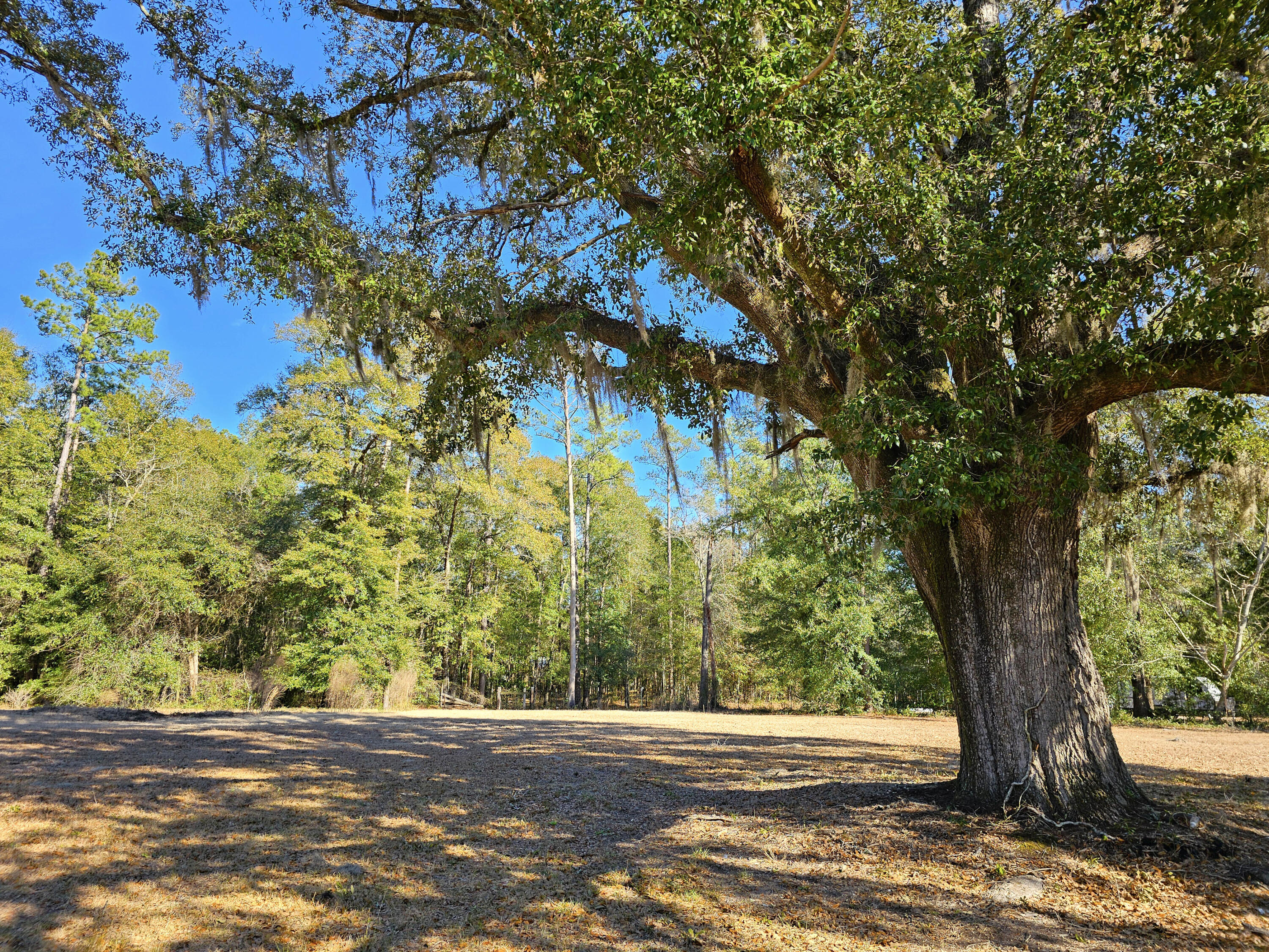 6 French Santee Road Jamestown, SC 29453 - Photo 3 of 5 Lot 6a