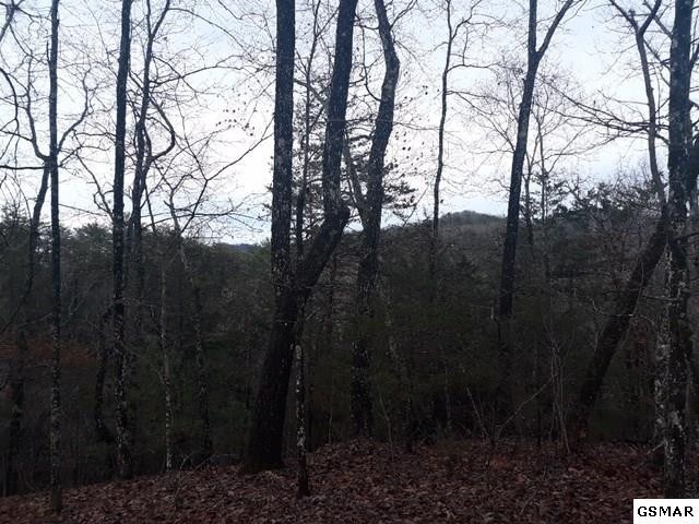 2262 Little Valley Road Sevierville, TN 37862 - Photo 6 of 6 Gallery Image 6