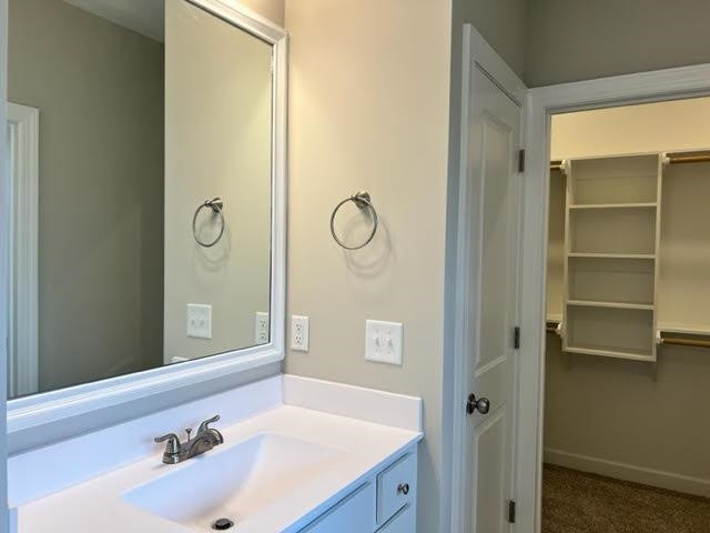 378 Lowery Lane Benson, NC 27504 - Photo 20 of 31 a bathroom with a sink and a mirror