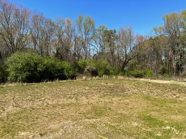 378 Lowery Lane Benson, NC 27504 - Photo 31 of 31 a view of a yard with trees in the background