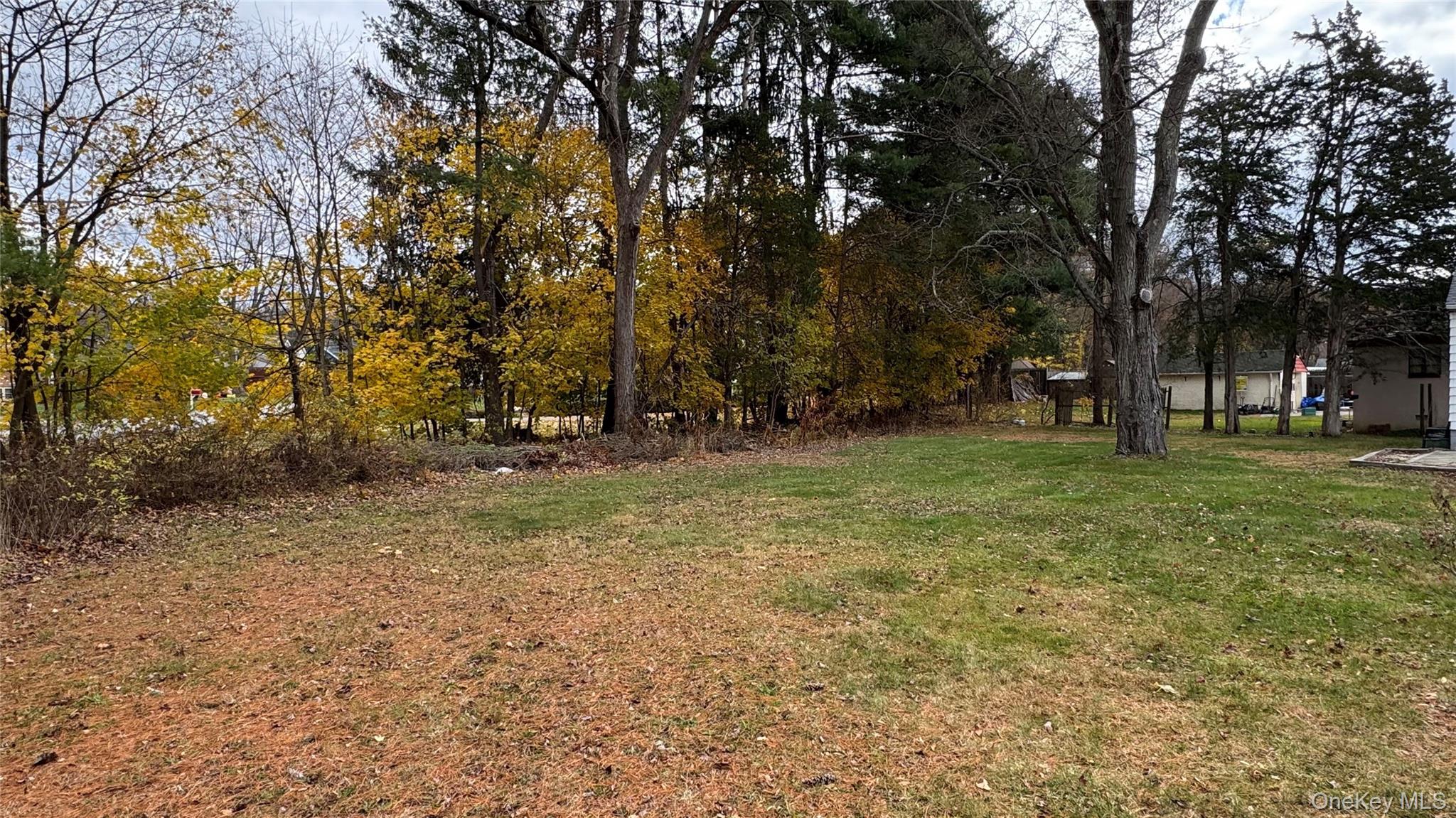 107 Noxon Road Poughkeepsie, NY 12603 - Photo 36 of 38 a view of a park with large trees