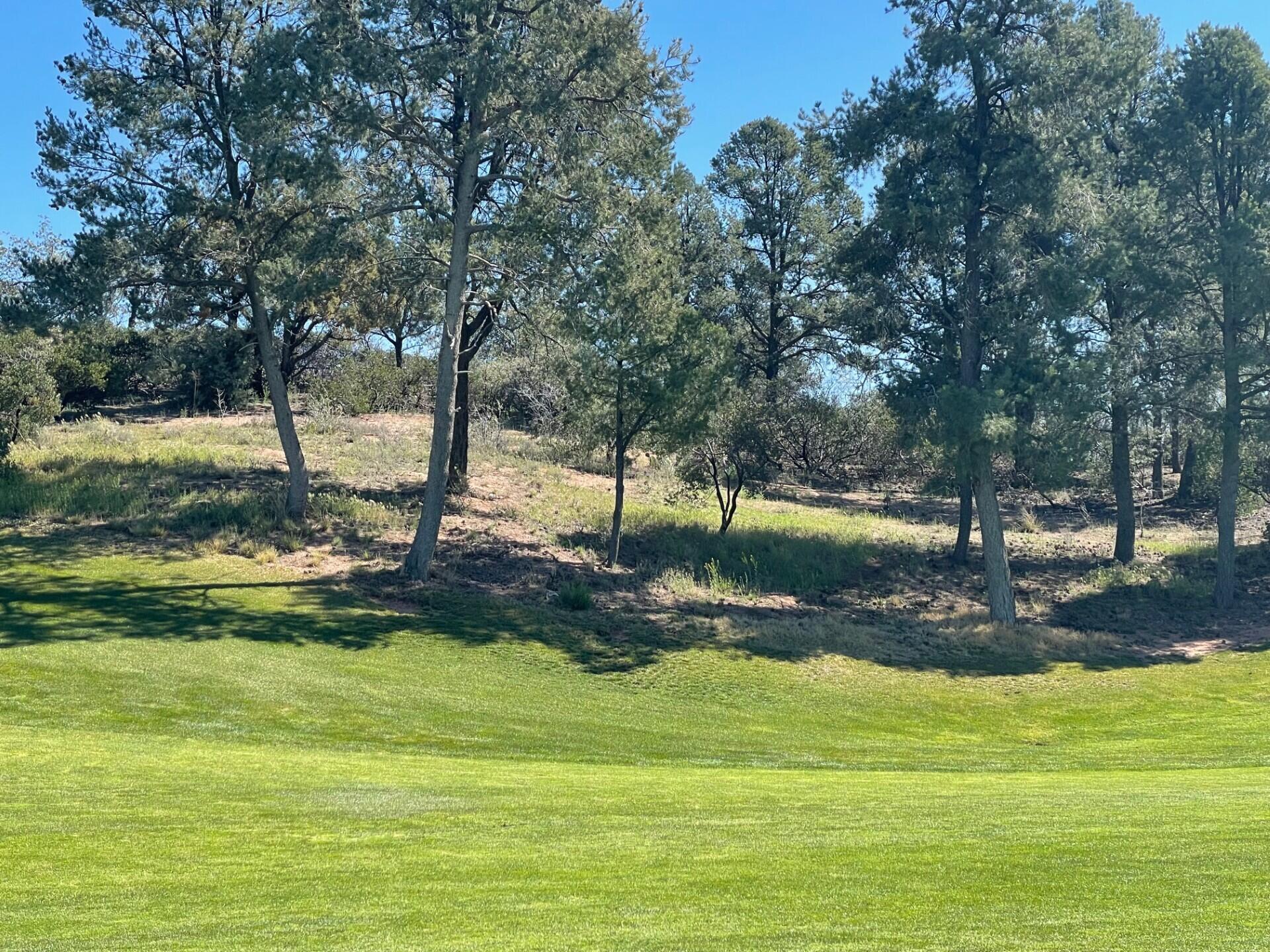210 South Rim Club Drive Payson, AZ 85541 - Photo 6 of 19 a view of a yard with a tree