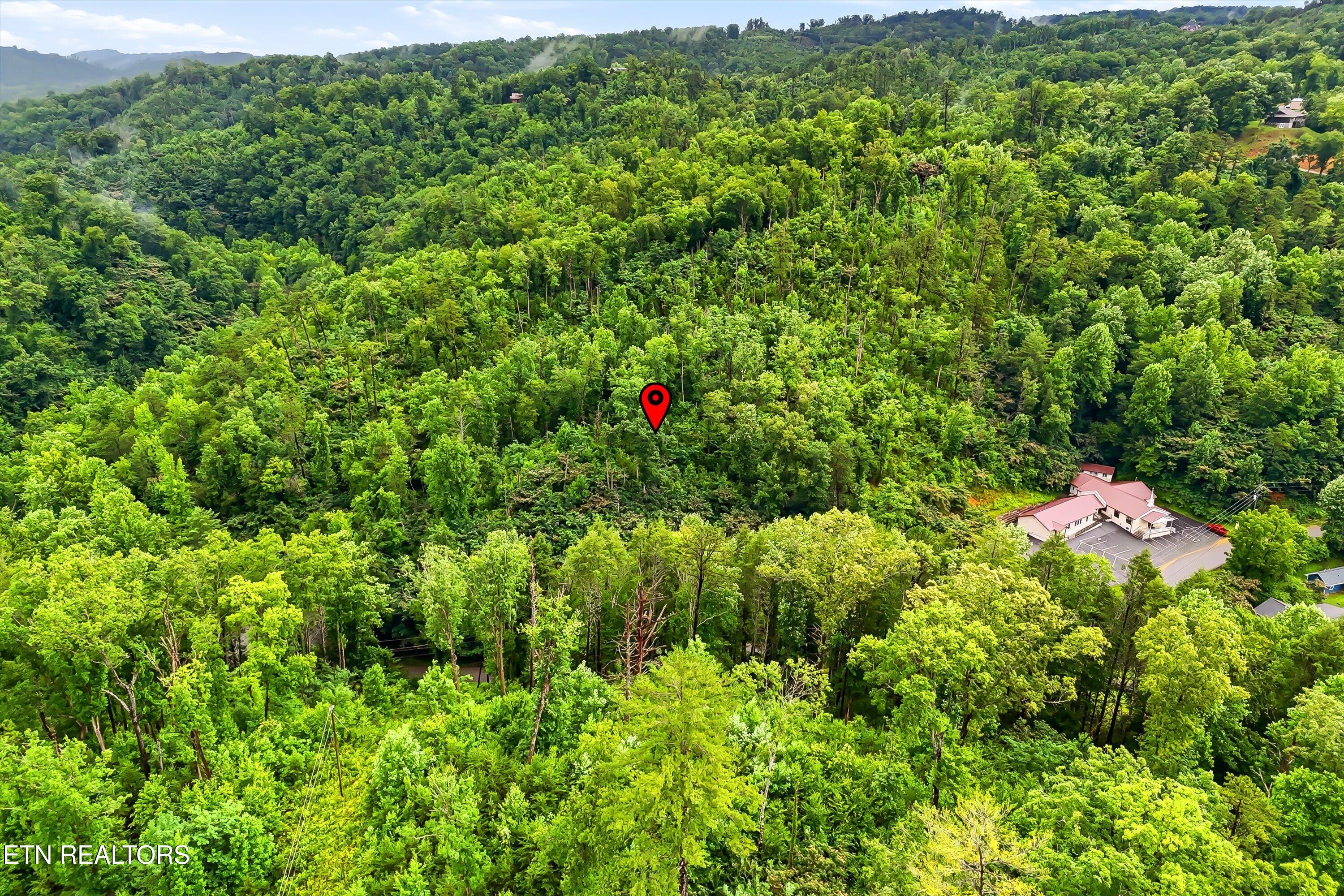 127 Beech Branch Road Gatlinburg, TN 37738 - Photo 6 of 18 12-FINAL-12