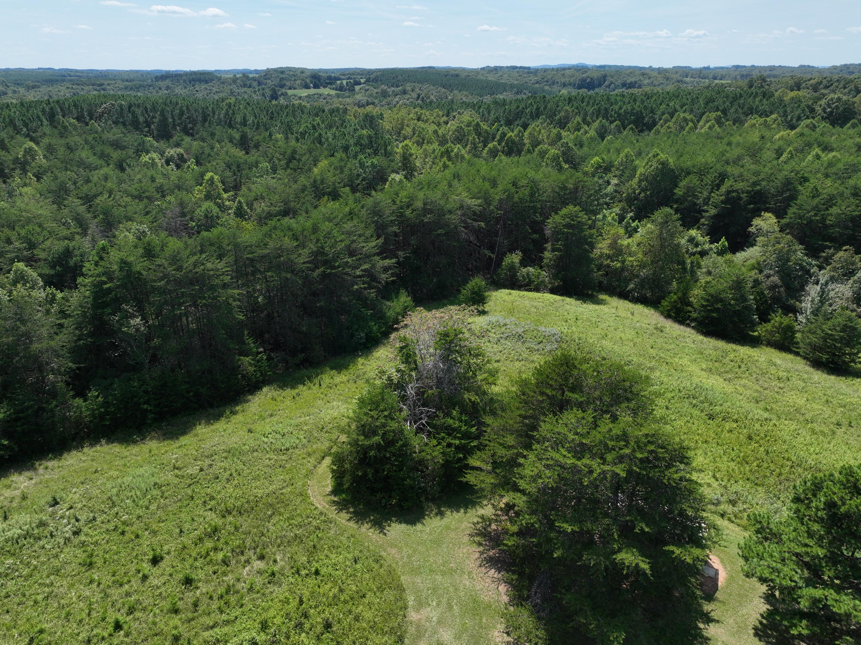 1494 Green Bay Road Chatham, VA 24531 - Photo 24 of 54 a view of a lush green forest
