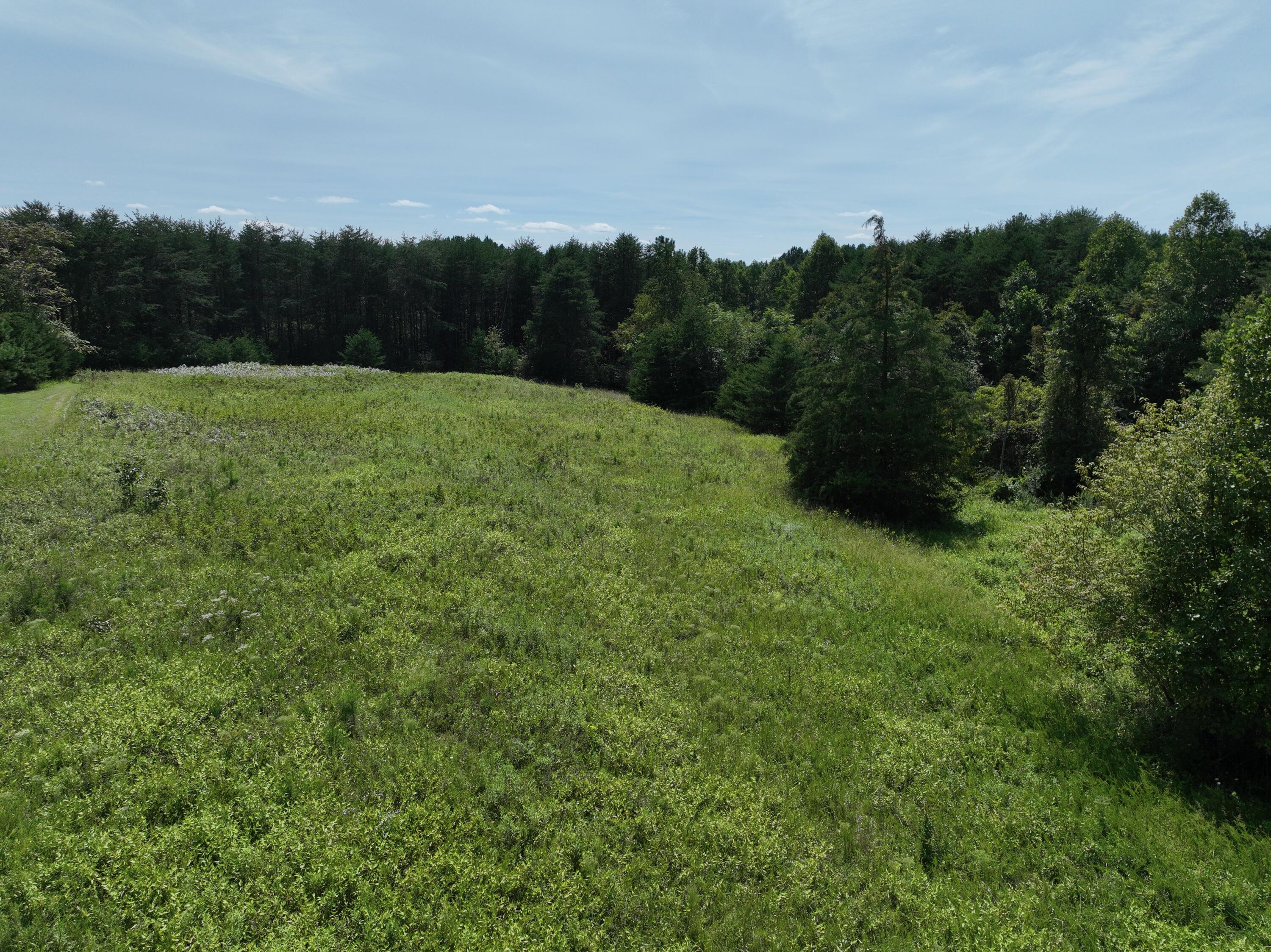 1494 Green Bay Road Chatham, VA 24531 - Photo 29 of 54 a view of a grassy field with trees in the background