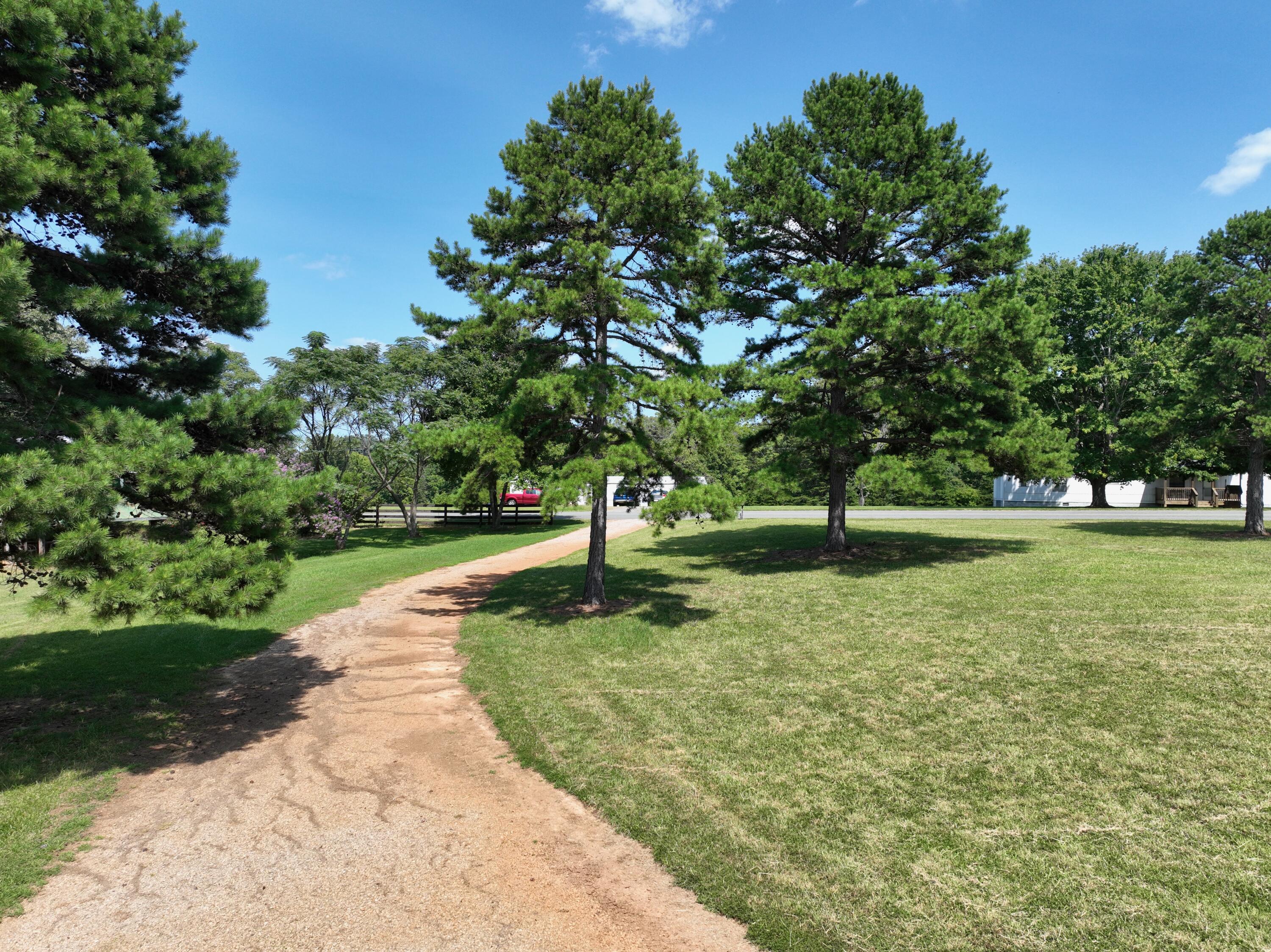 1494 Green Bay Road Chatham, VA 24531 - Photo 3 of 54 a view of a garden with trees