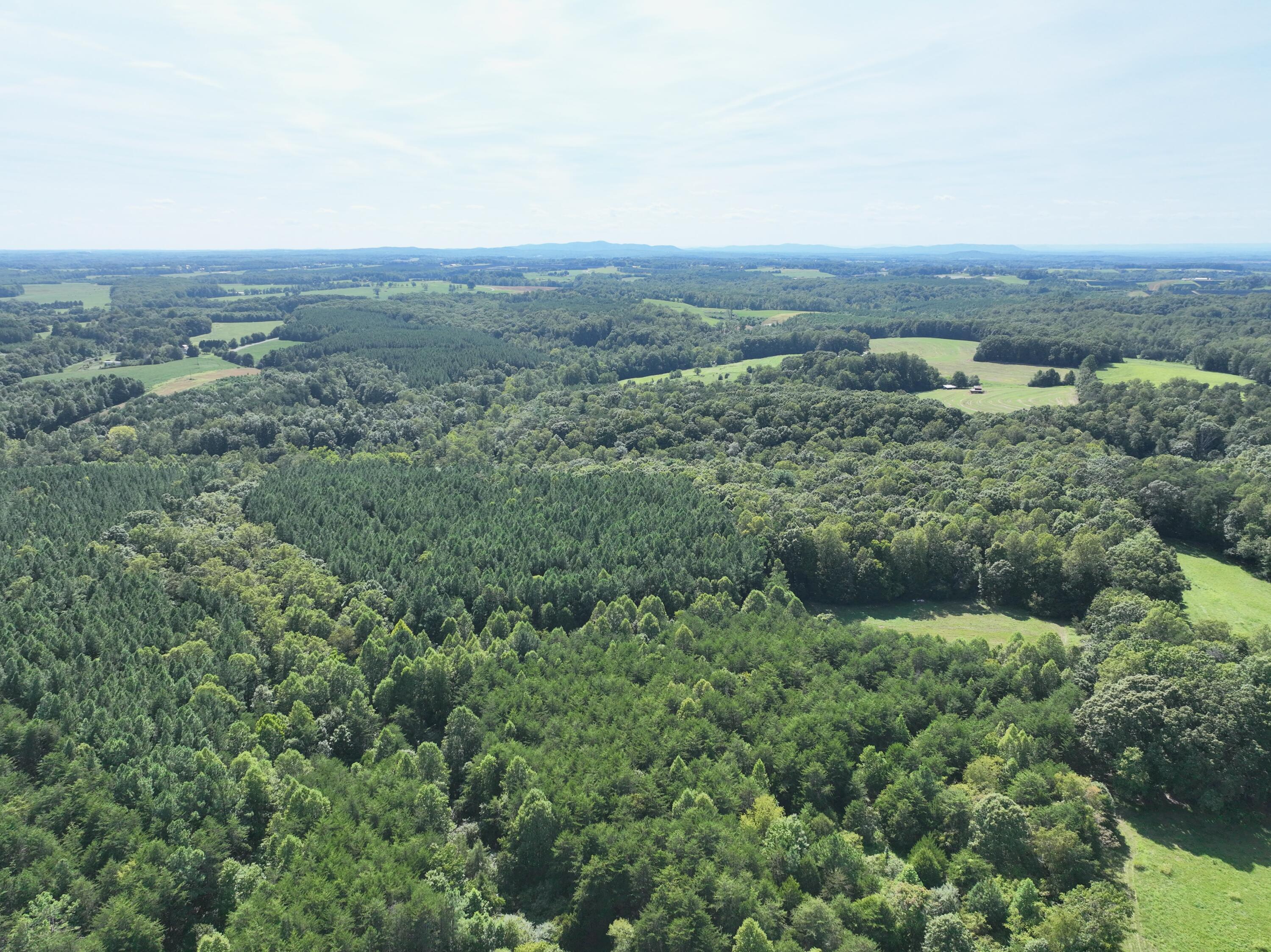 1494 Green Bay Road Chatham, VA 24531 - Photo 31 of 54 an aerial view of houses covered in trees
