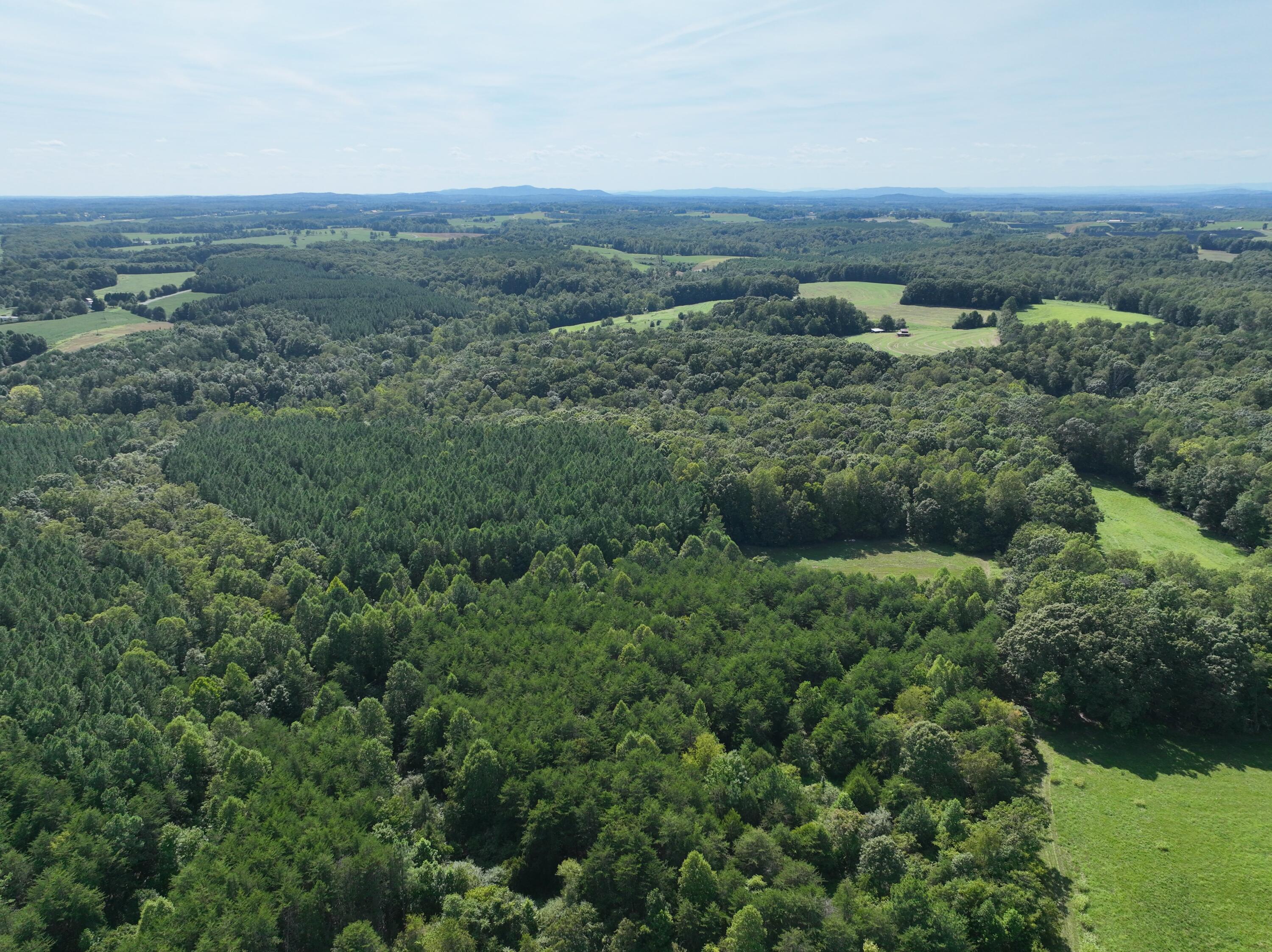 1494 Green Bay Road Chatham, VA 24531 - Photo 35 of 54 an aerial view of residential house with outdoor space