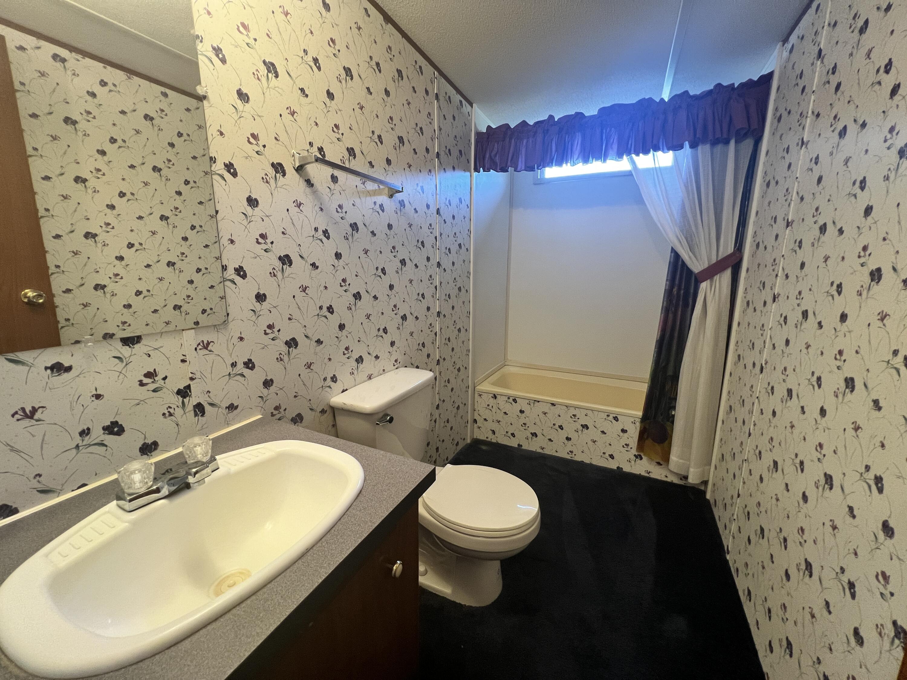 1494 Green Bay Road Chatham, VA 24531 - Photo 48 of 54 a bathroom with a sink toilet and shower