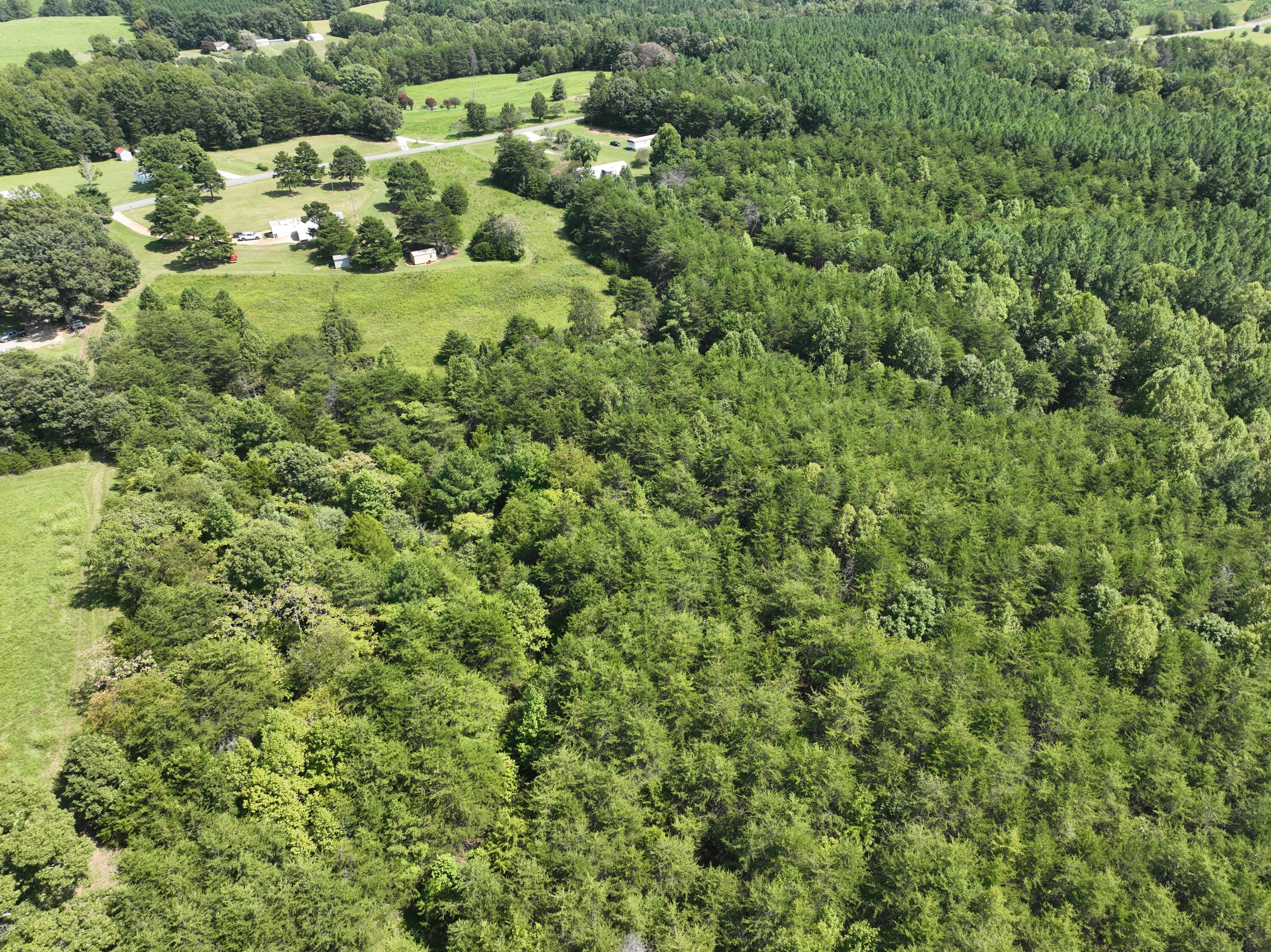 1494 Green Bay Road Chatham, VA 24531 - Photo 10 of 54 a view of a green field