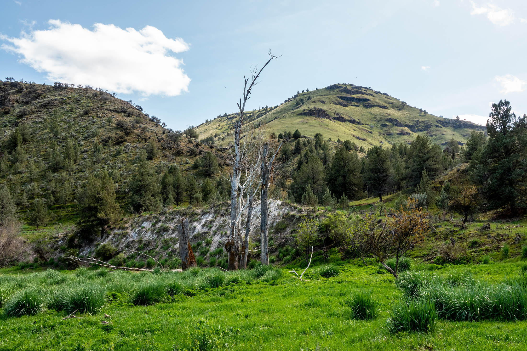 40252 Rudio Road Kimberly, OR 97848 - Photo 28 of 34 a view of a field