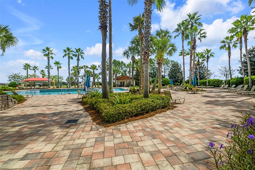 8348 Southwest 58 Loop Ocala, FL 34481 - Photo 51 of 66