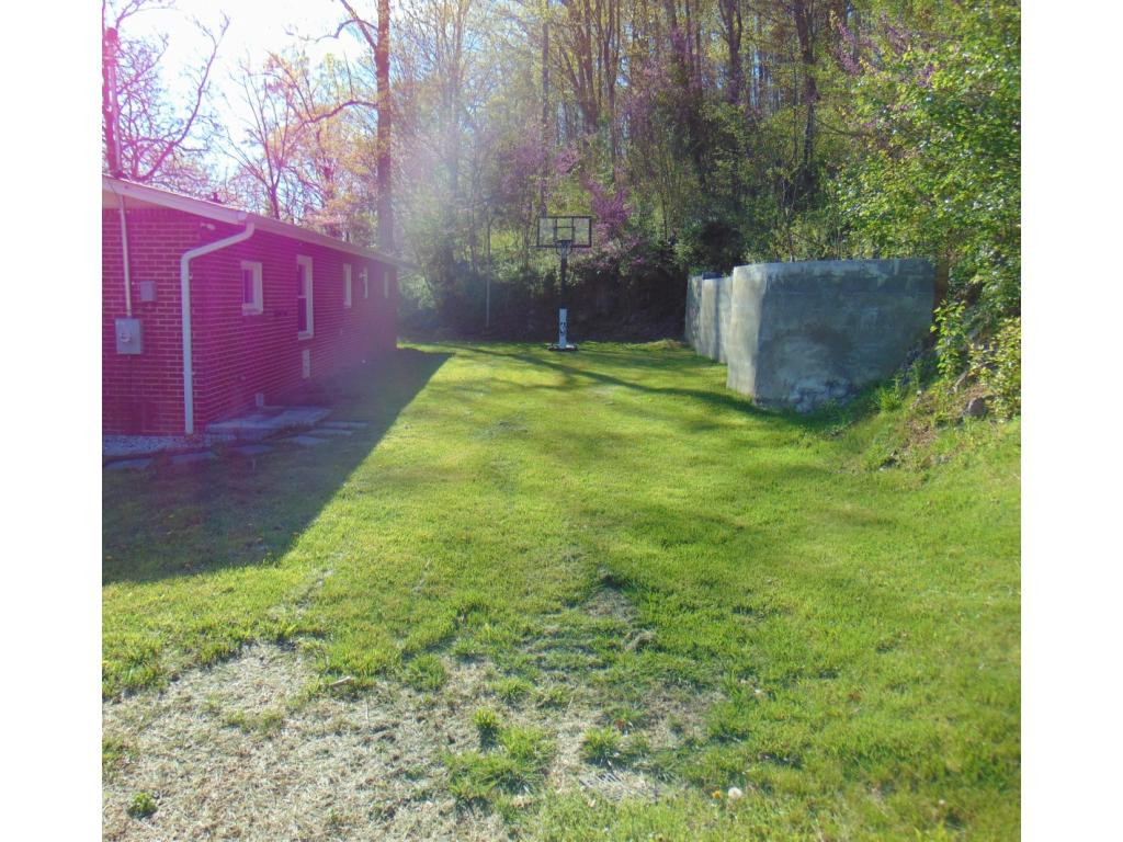970 Hill Road Blountville, TN 37617 - Photo 27 of 36 Back yard
