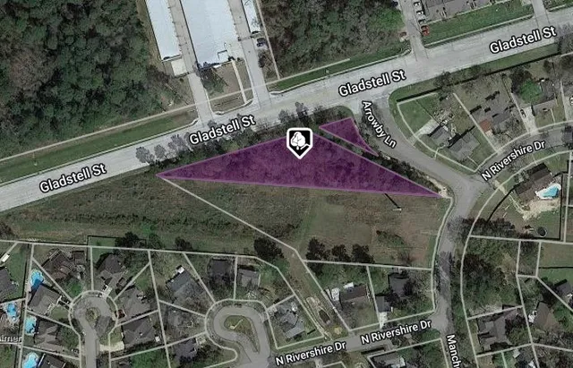 a view of a garden with a plant