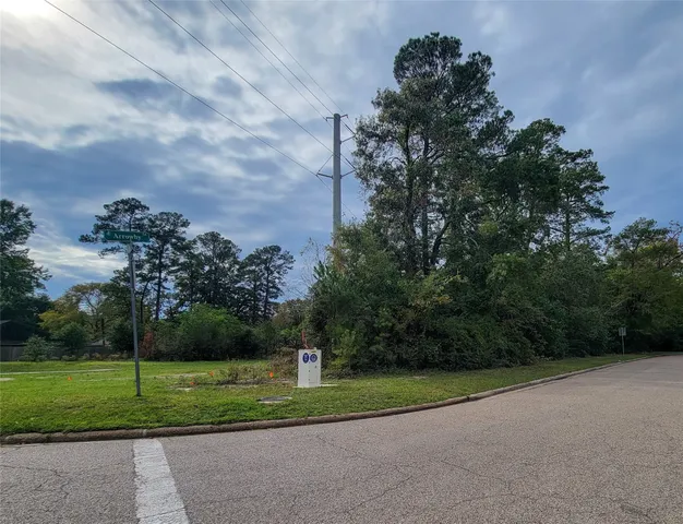 $198,980 | 1101 Gladstell Street, Conroe, TX 77304