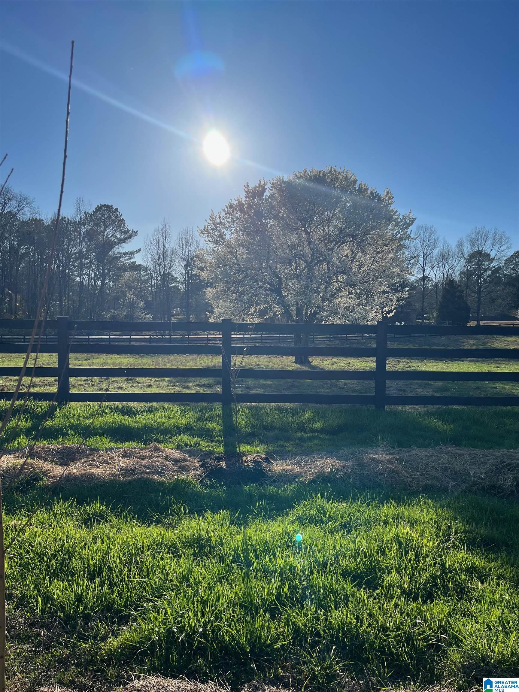 1396 Sun Valley Road Harpersville, AL 35078 - Photo 64 of 82