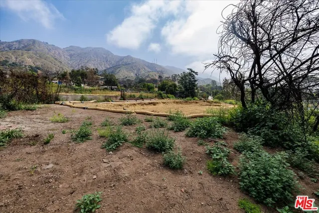 a view of a yard with a houses