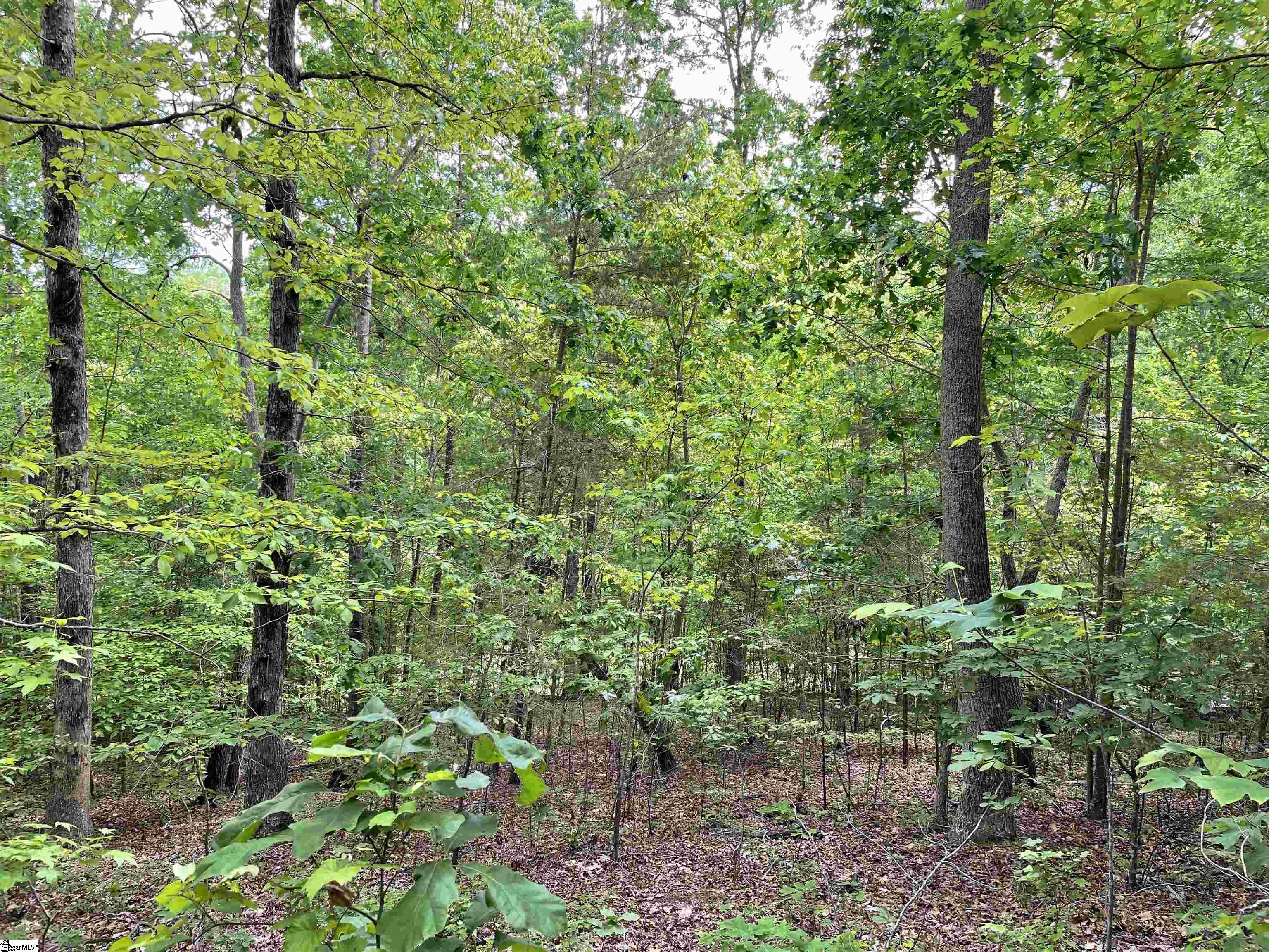 0 Anthony Road Pickens, SC 29671 - Photo 5 of 27