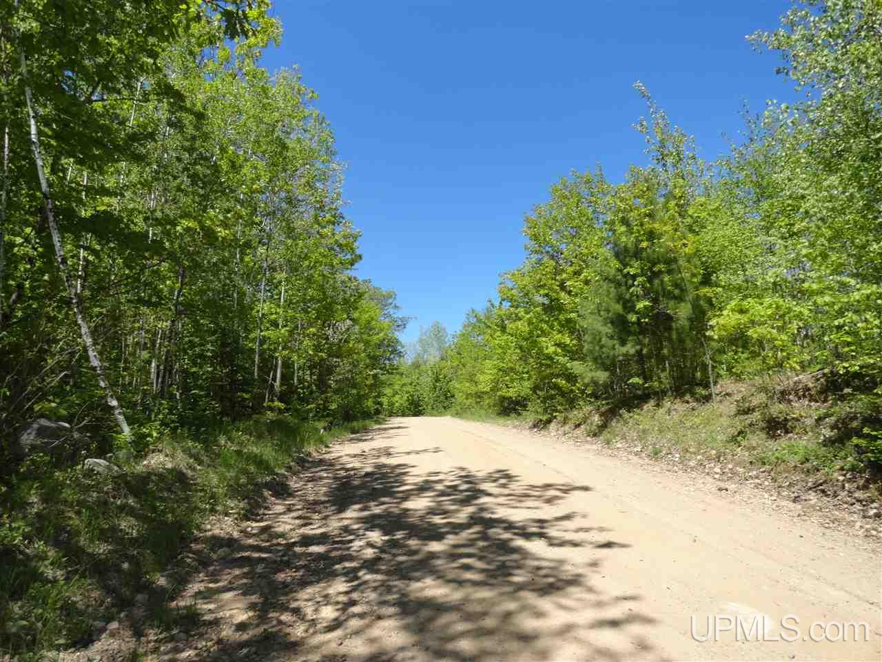 40 Two 2 Mile Creek Road Channing, MI 49815 - Photo 4 of 15