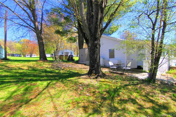 a view of a yard with plants and trees