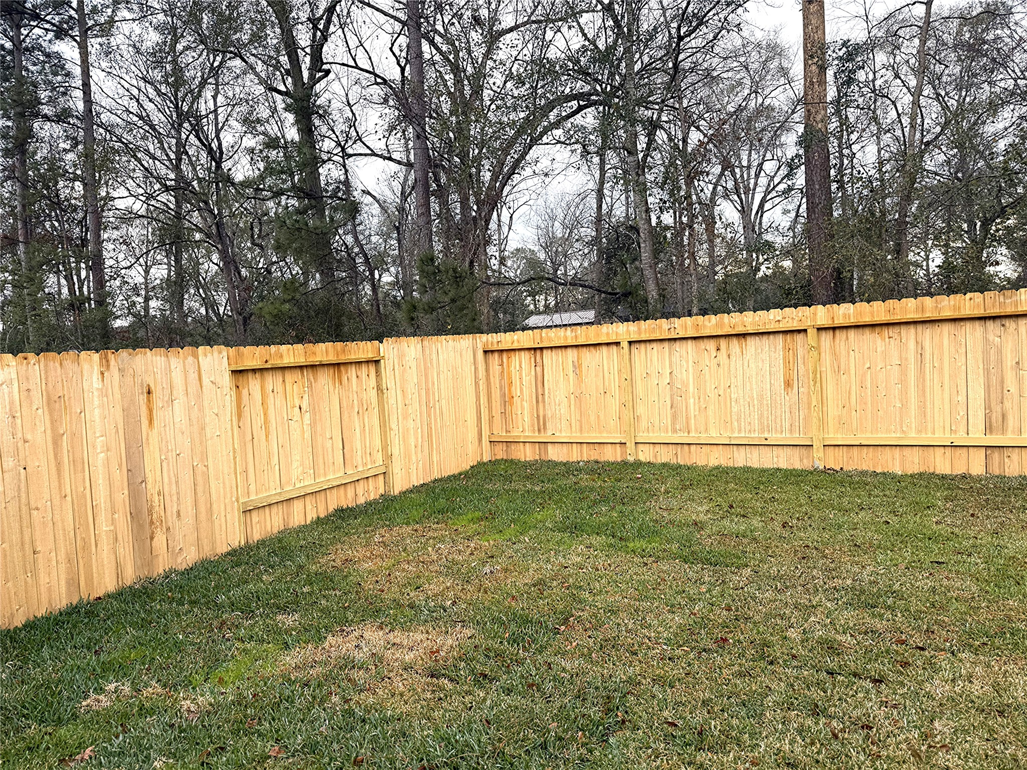 1511 Sunset Ridge Drive Conroe, TX 77306 - Photo 10 of 11 a view of a yard with large trees