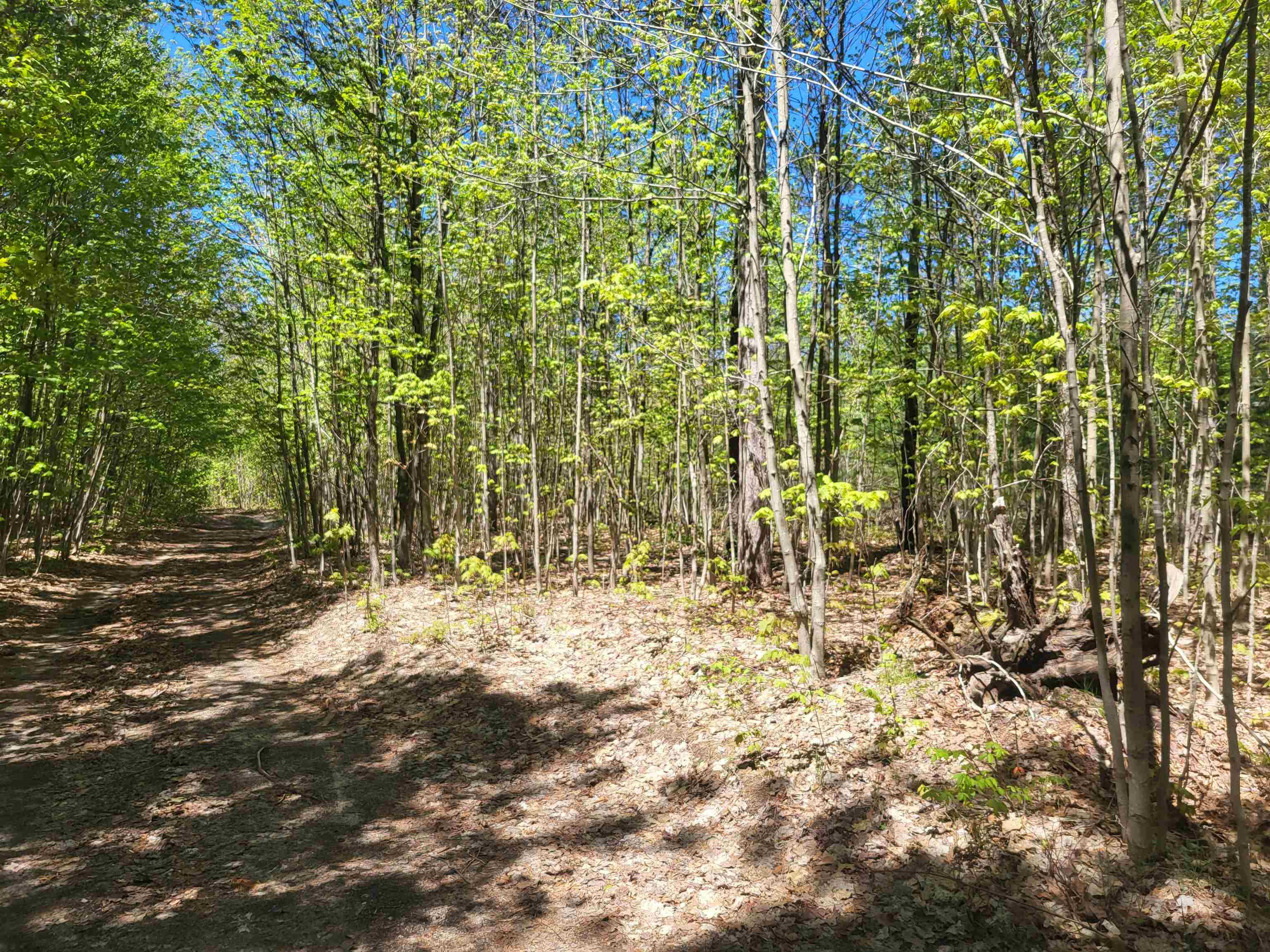 0 North Hulbert Road Lake Ann, MI 49650 - Photo 9 of 14