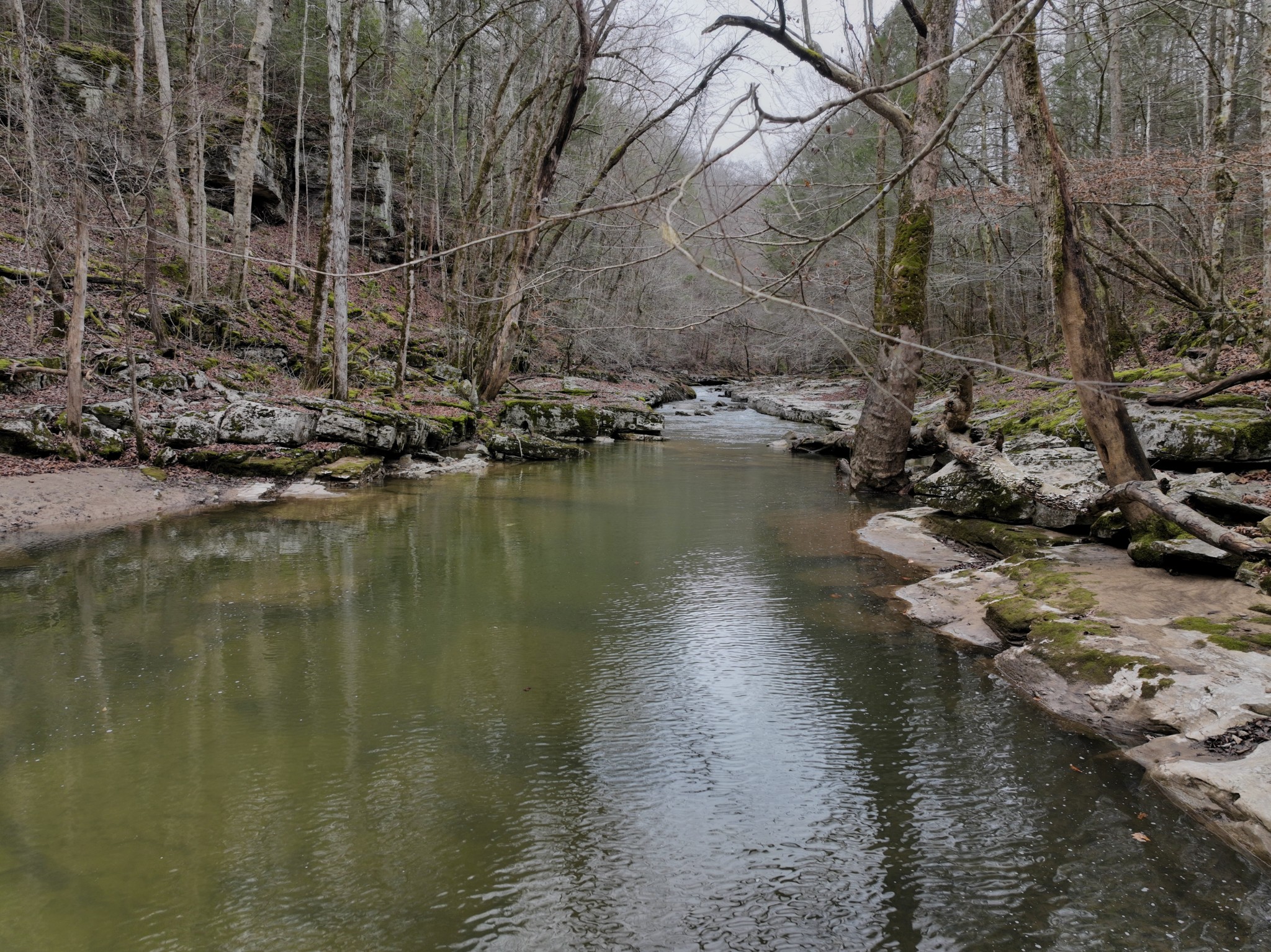 0 Coal Lane Clarkrange, TN 38553 - Photo 1 of 60 a view of lake