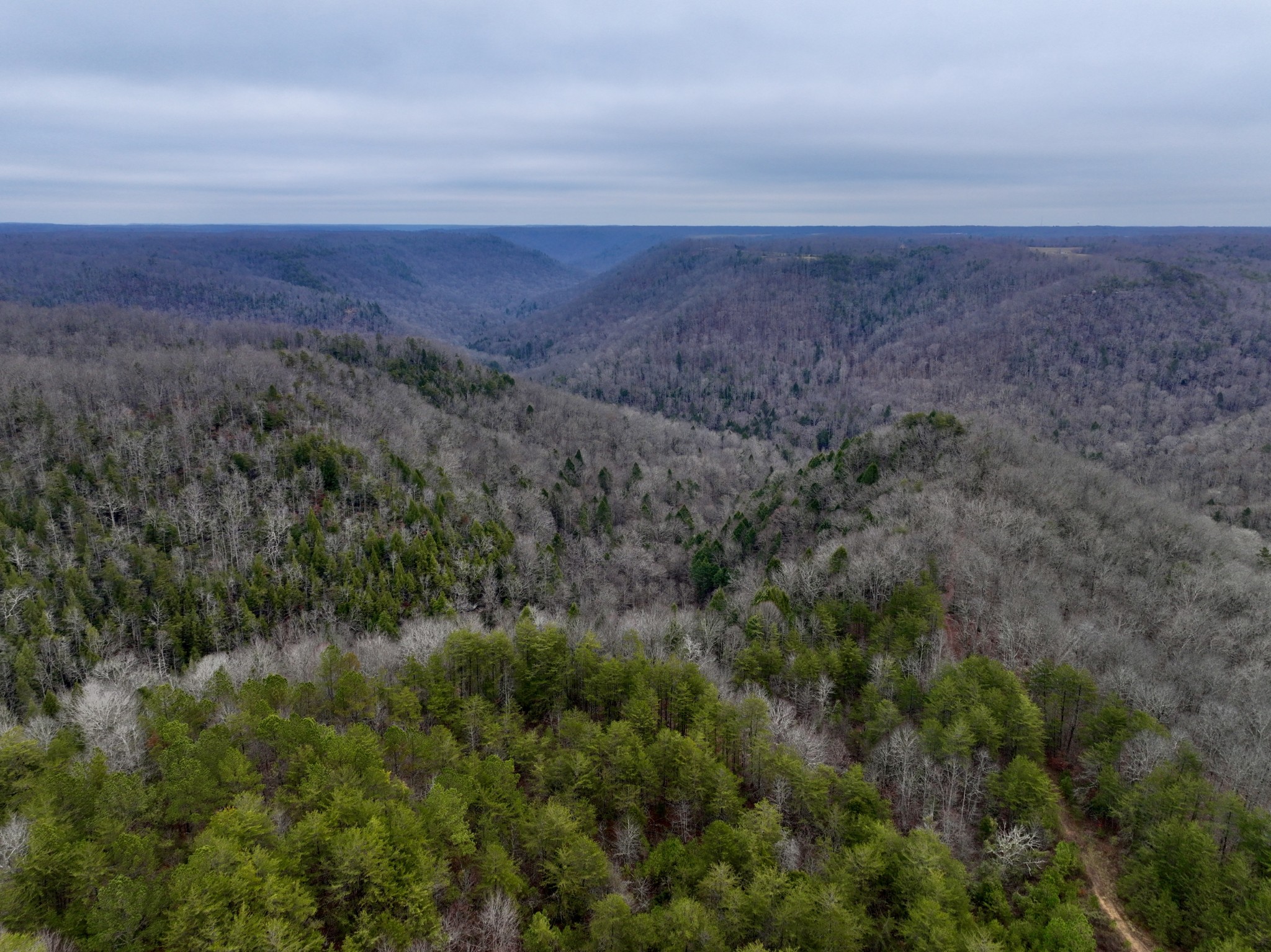 0 Coal Lane Clarkrange, TN 38553 - Photo 14 of 60 a view of a field