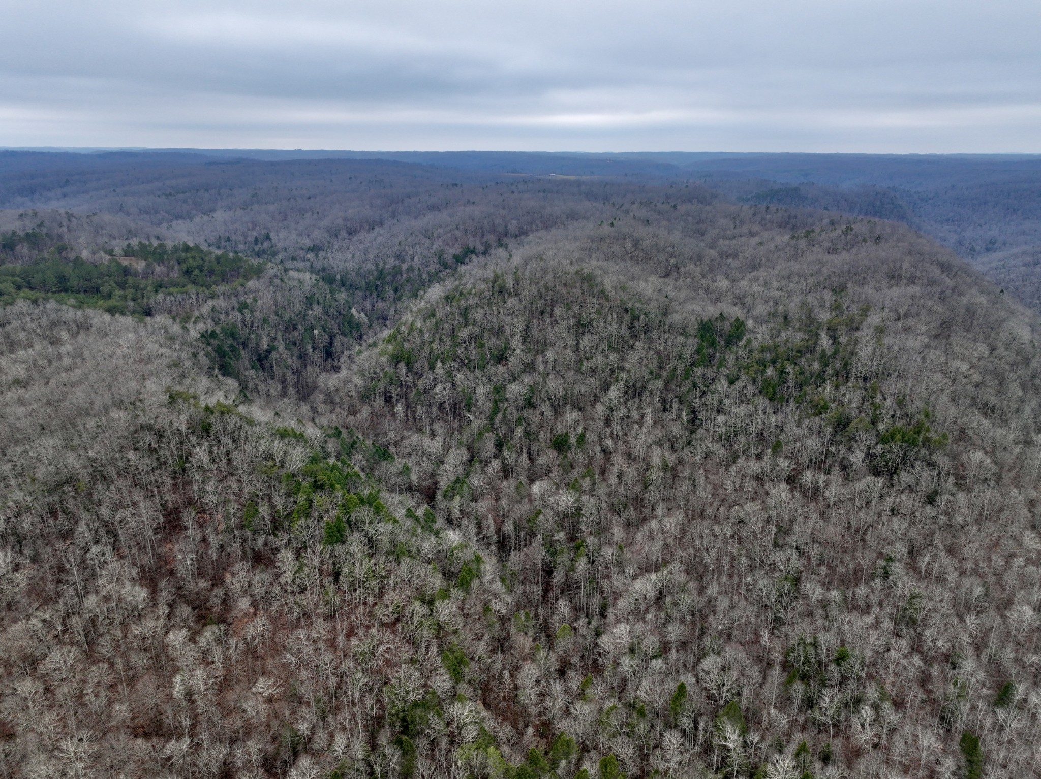 0 Coal Lane Clarkrange, TN 38553 - Photo 16 of 60 a view of a field with an outdoor space