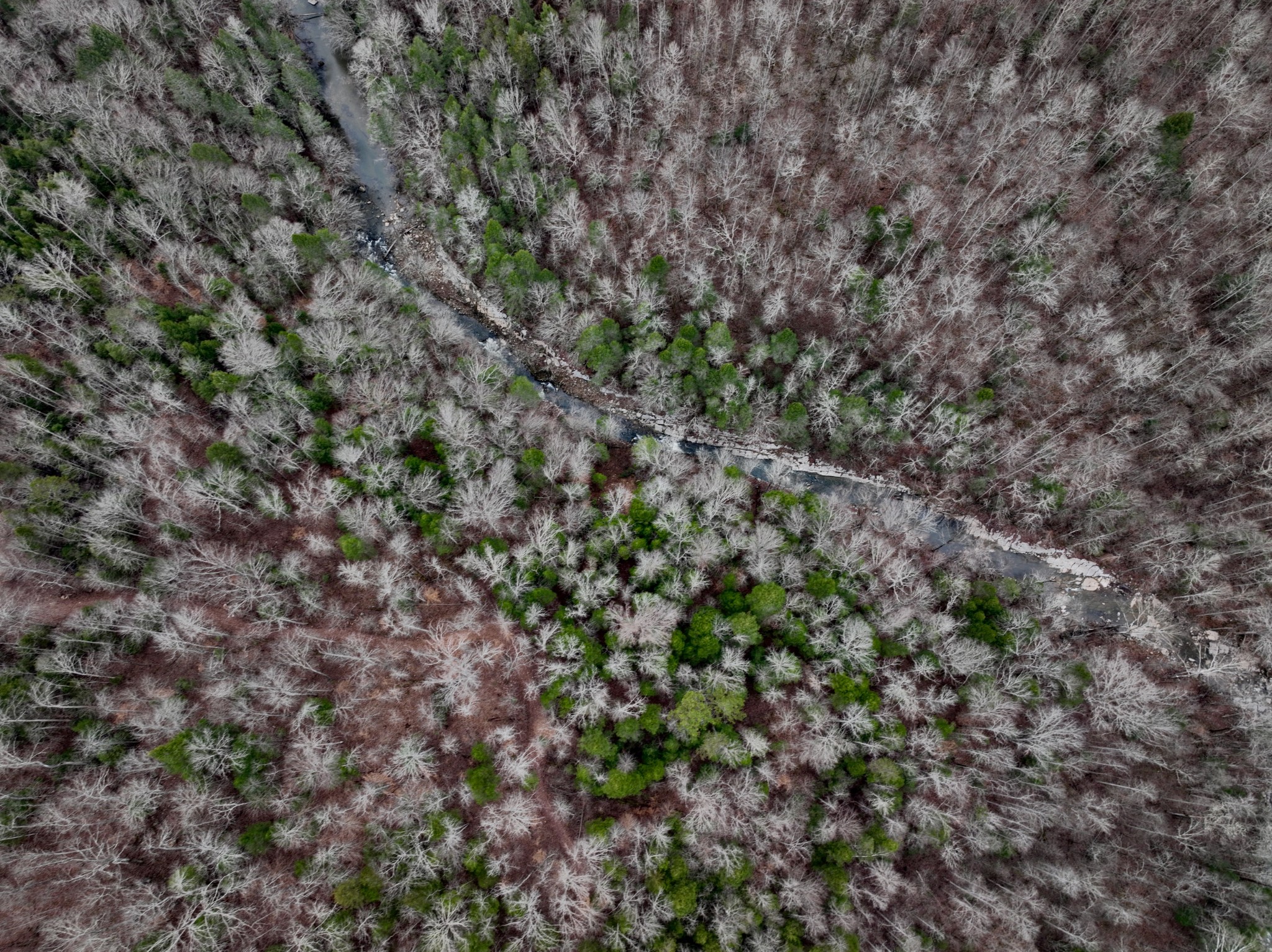 0 Coal Lane Clarkrange, TN 38553 - Photo 20 of 60