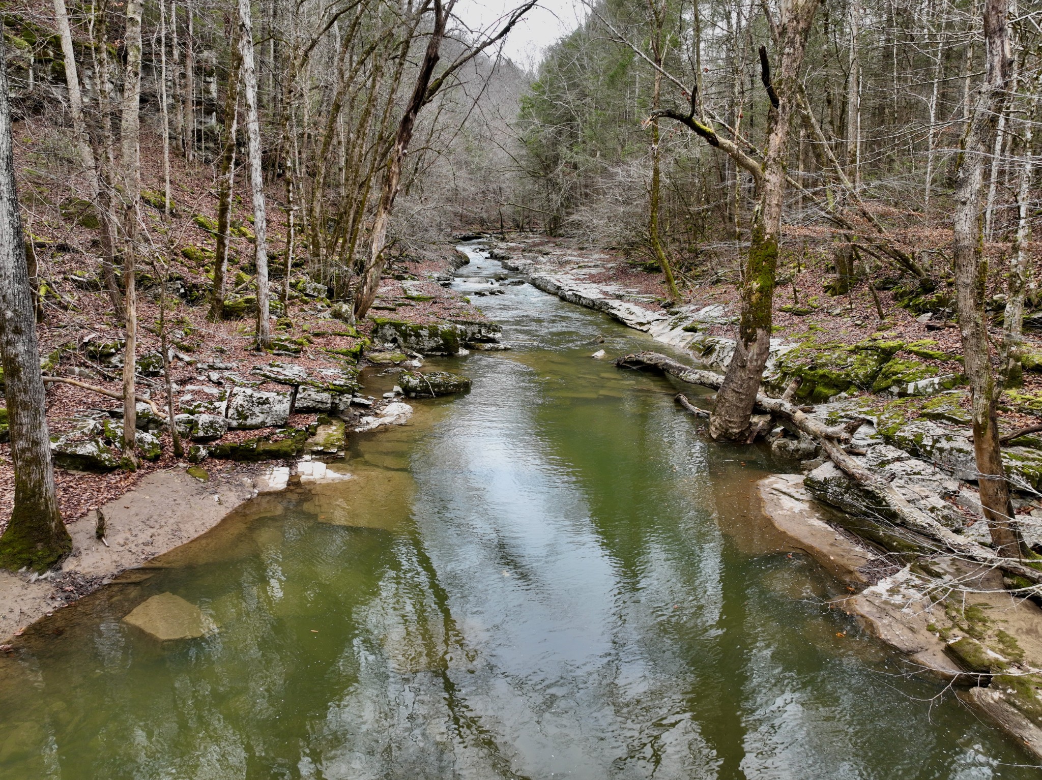 0 Coal Lane Clarkrange, TN 38553 - Photo 2 of 60 a view of a lake view