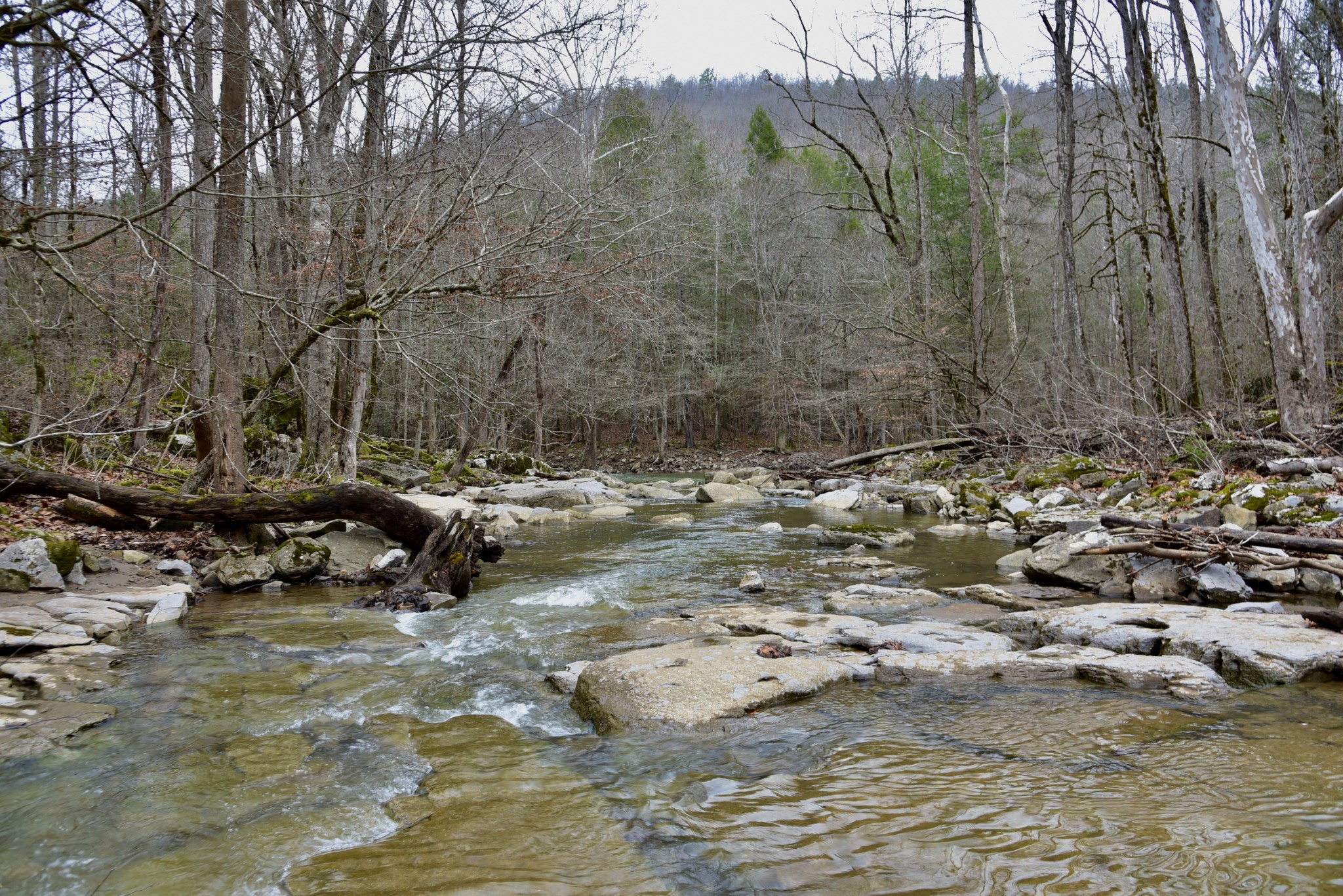 0 Coal Lane Clarkrange, TN 38553 - Photo 25 of 60