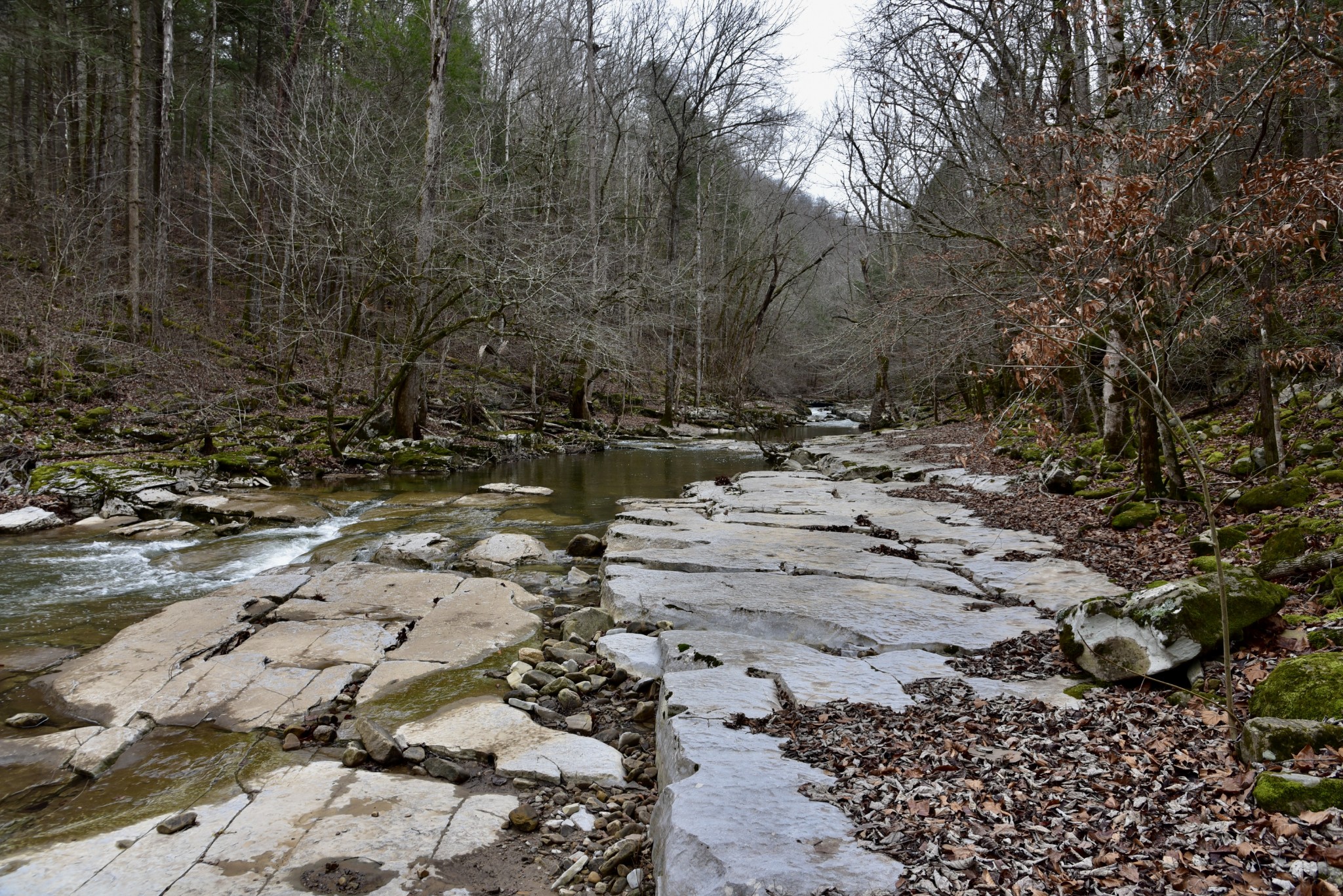 0 Coal Lane Clarkrange, TN 38553 - Photo 27 of 60 a view of open space with a pond