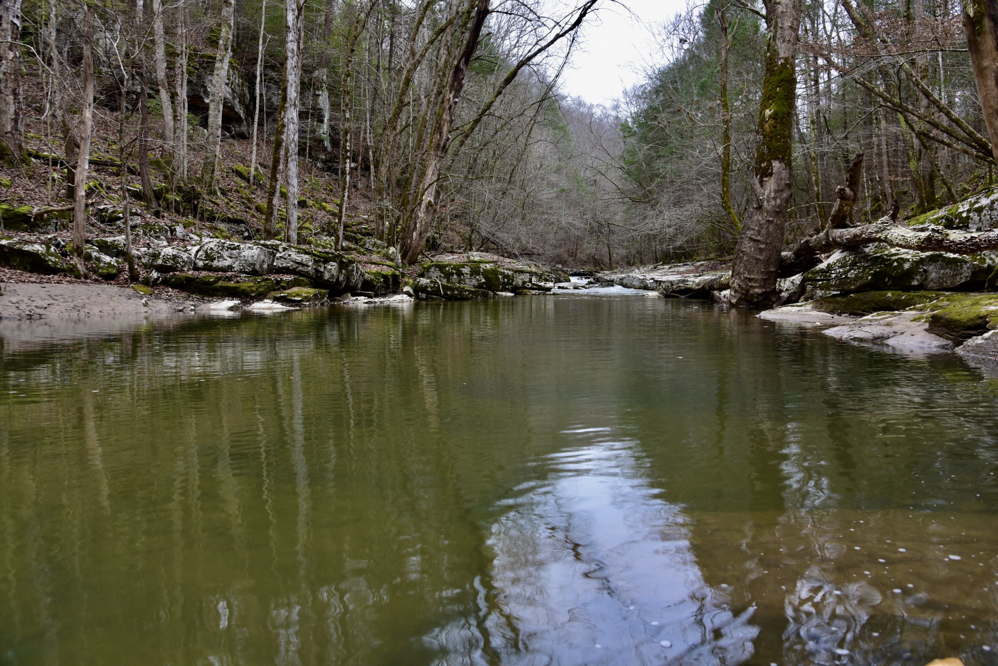 0 Coal Lane Clarkrange, TN 38553 - Photo 28 of 60 a view of a lake view