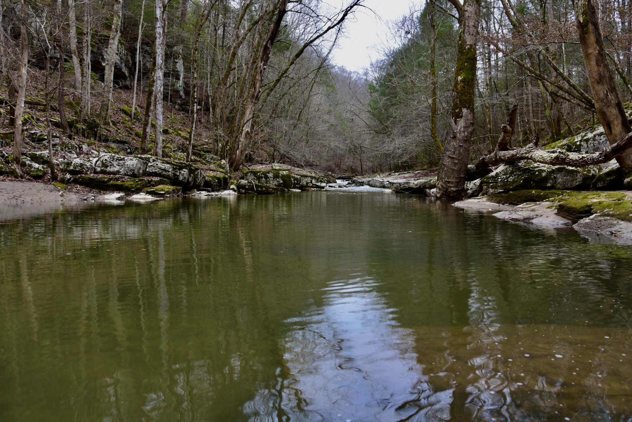 0 Coal Lane Clarkrange, TN 38553 - Photo 29 of 60 a view of a lake view